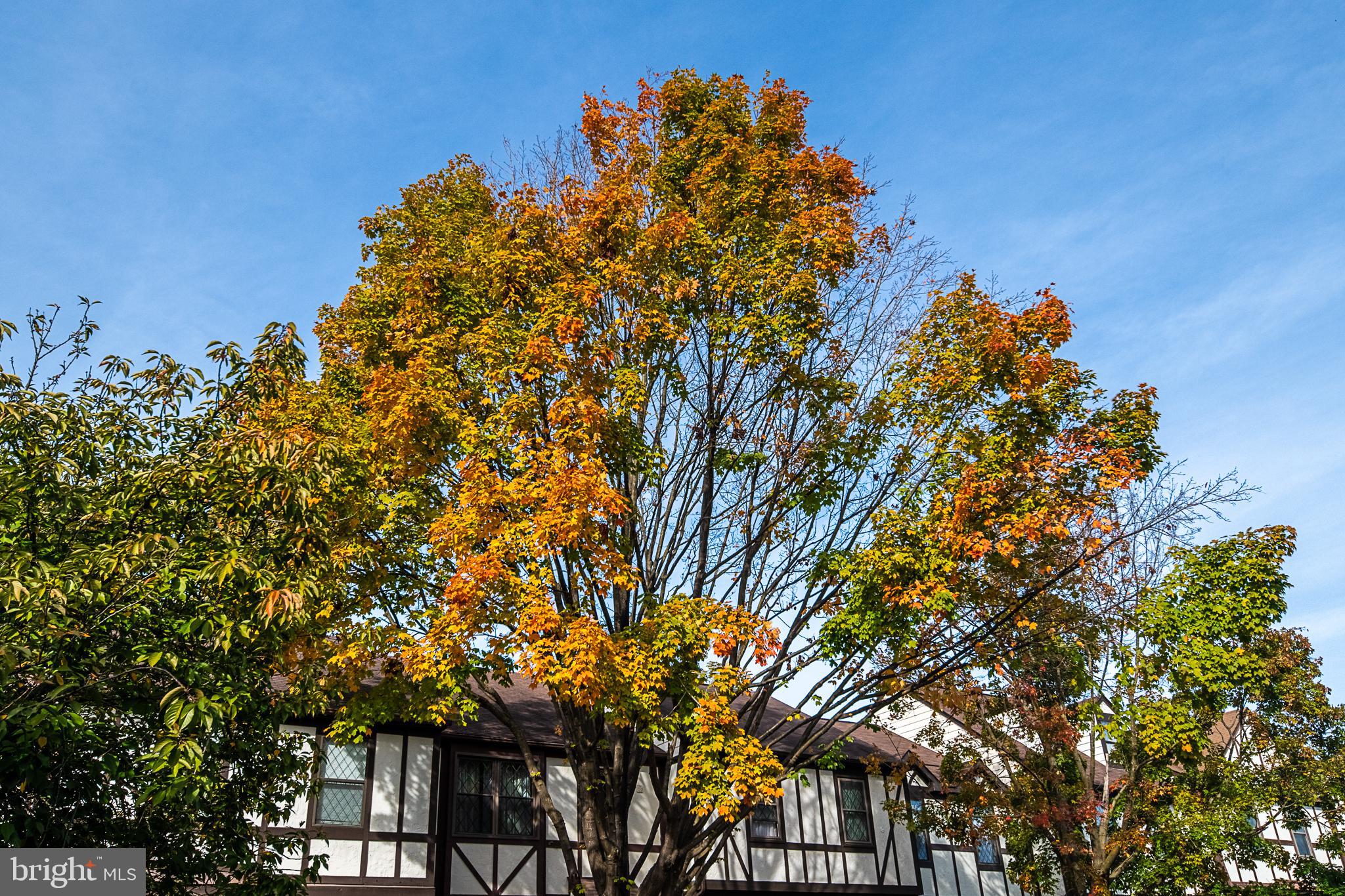 COUNTRYSIDE - Residential