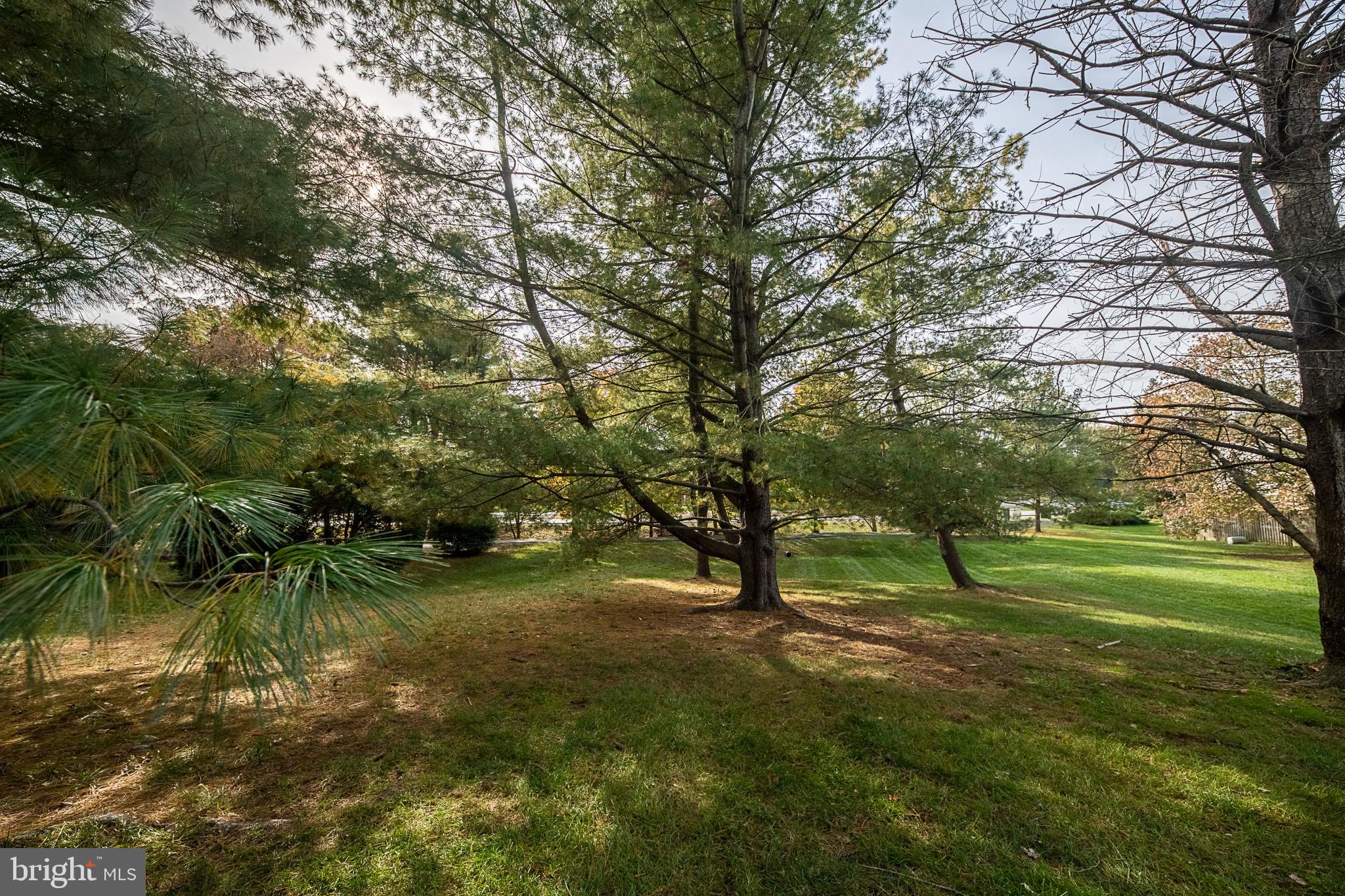 COUNTRYSIDE - Residential