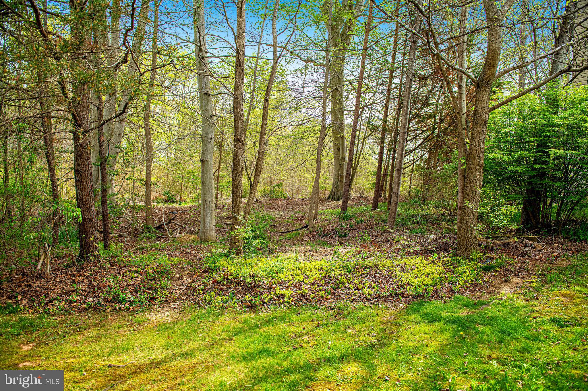 CHESAPEAKE VILLAGE - Residential