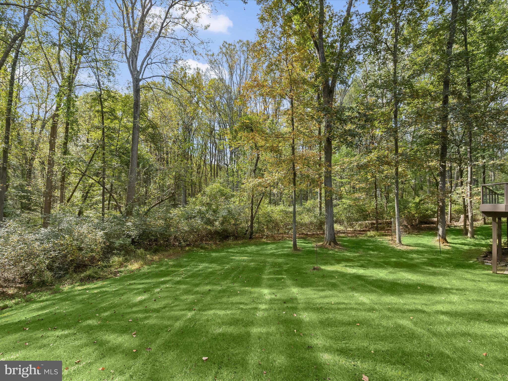 TRIADELPHIA WOODS - Residential