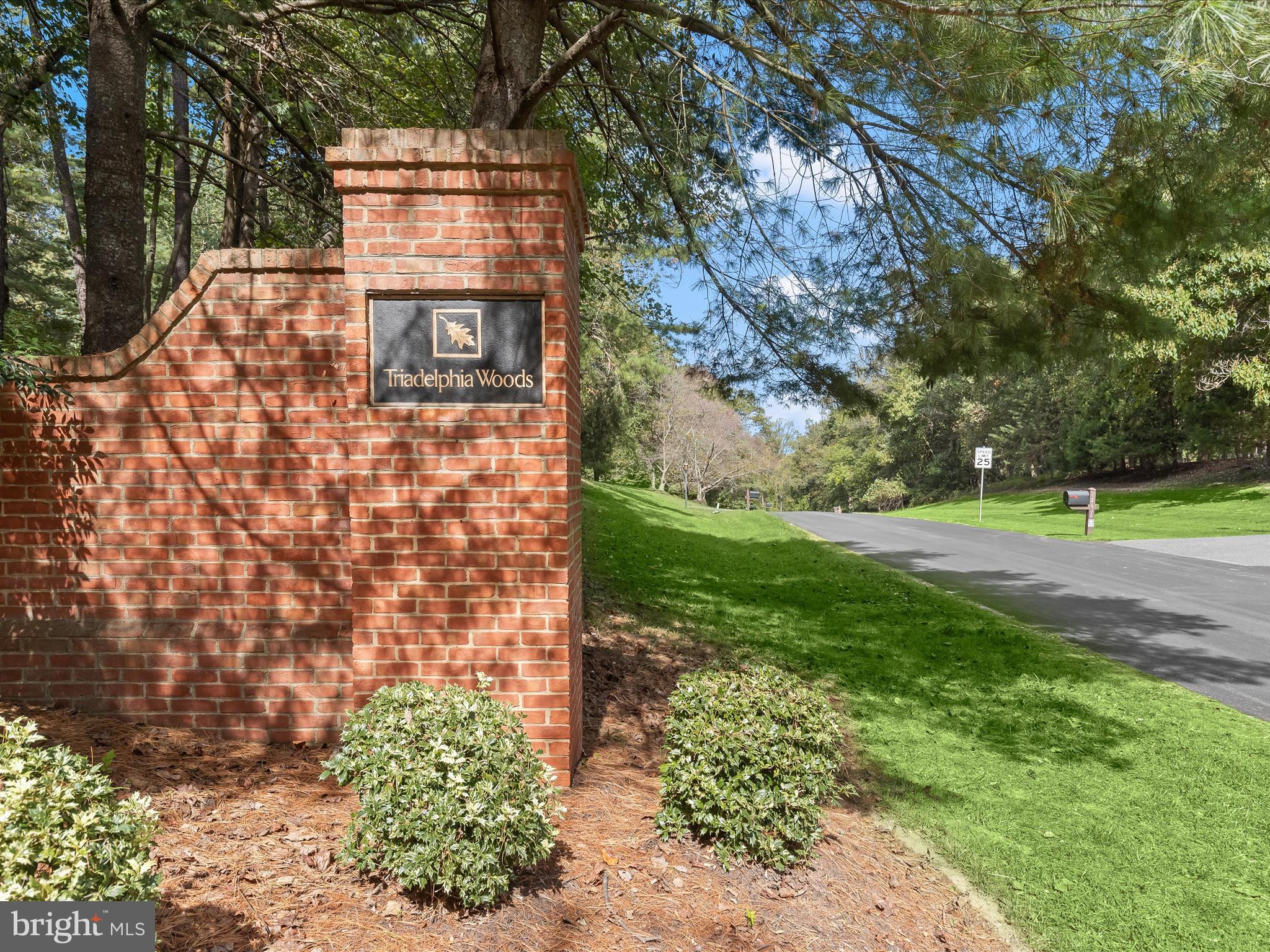 TRIADELPHIA WOODS - Residential