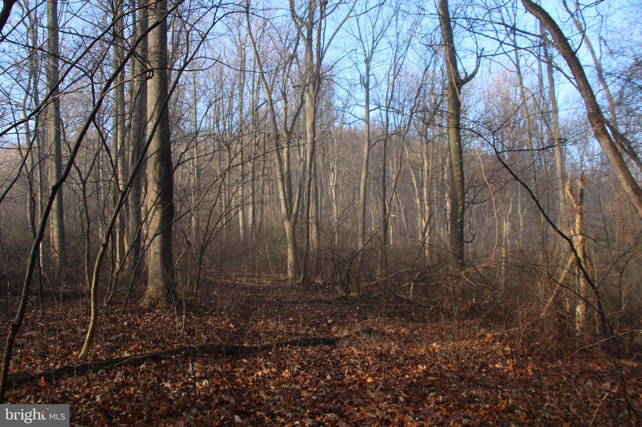 CHRISTOPHER WOODS - Land