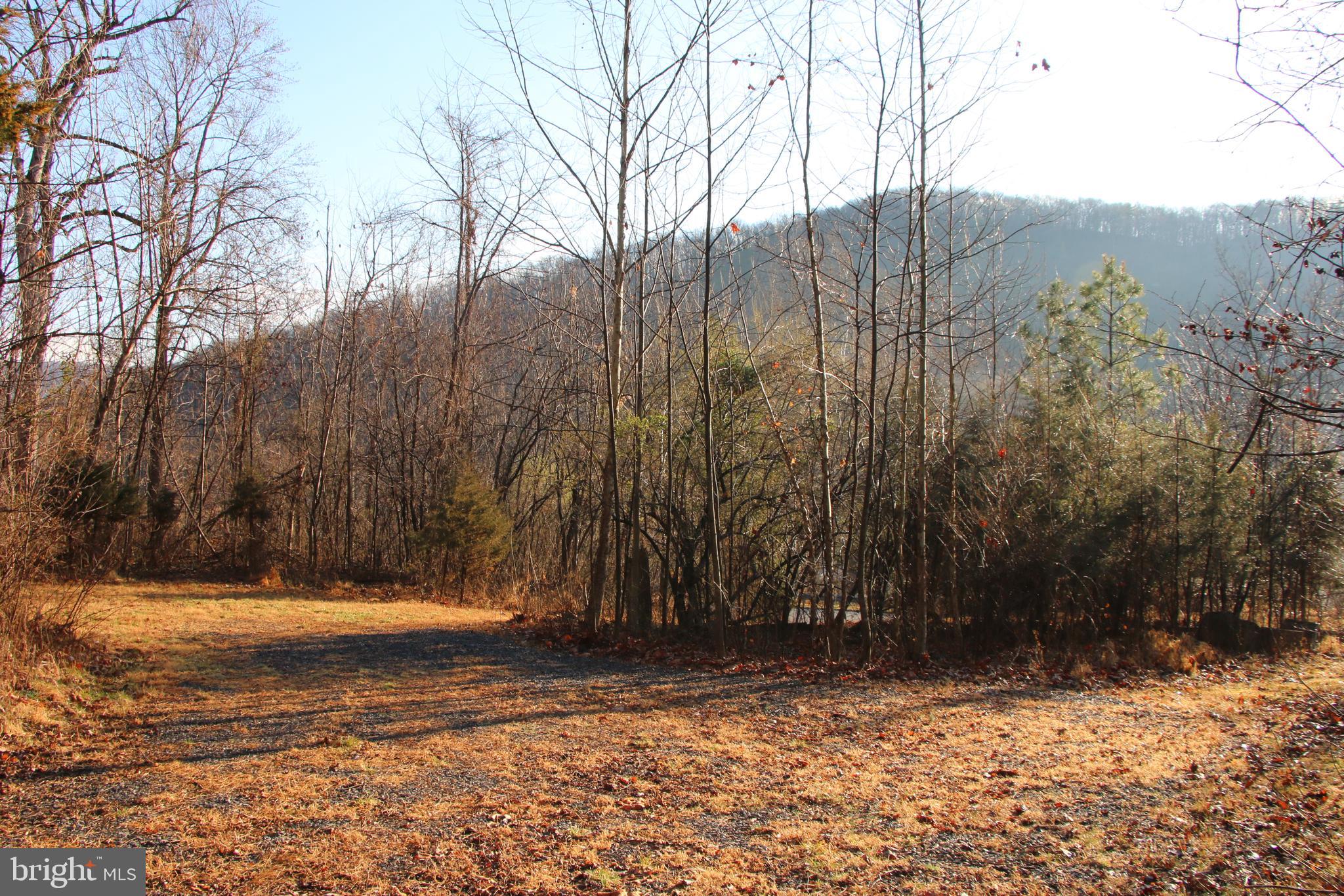 CHRISTOPHER WOODS - Land