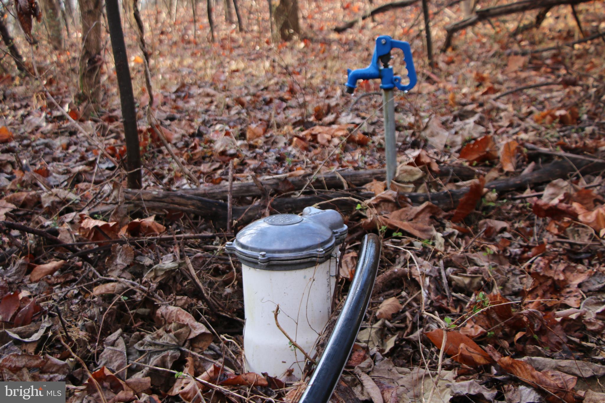 CHRISTOPHER WOODS - Land