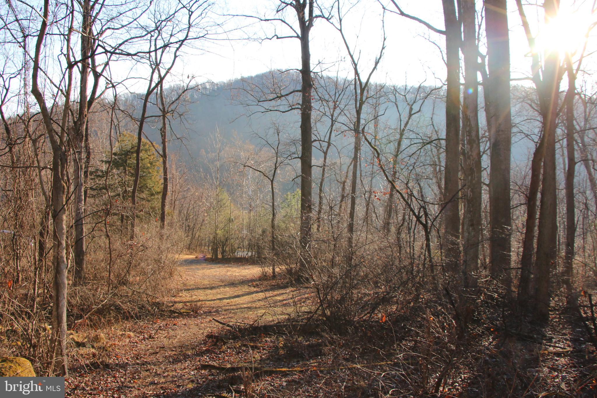 CHRISTOPHER WOODS - Land