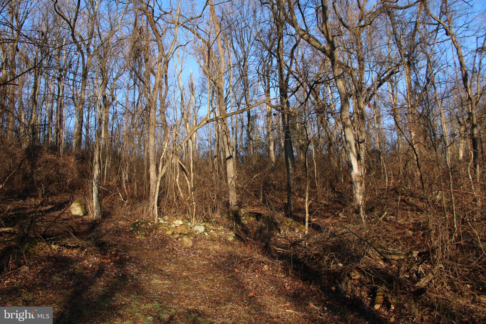 CHRISTOPHER WOODS - Land