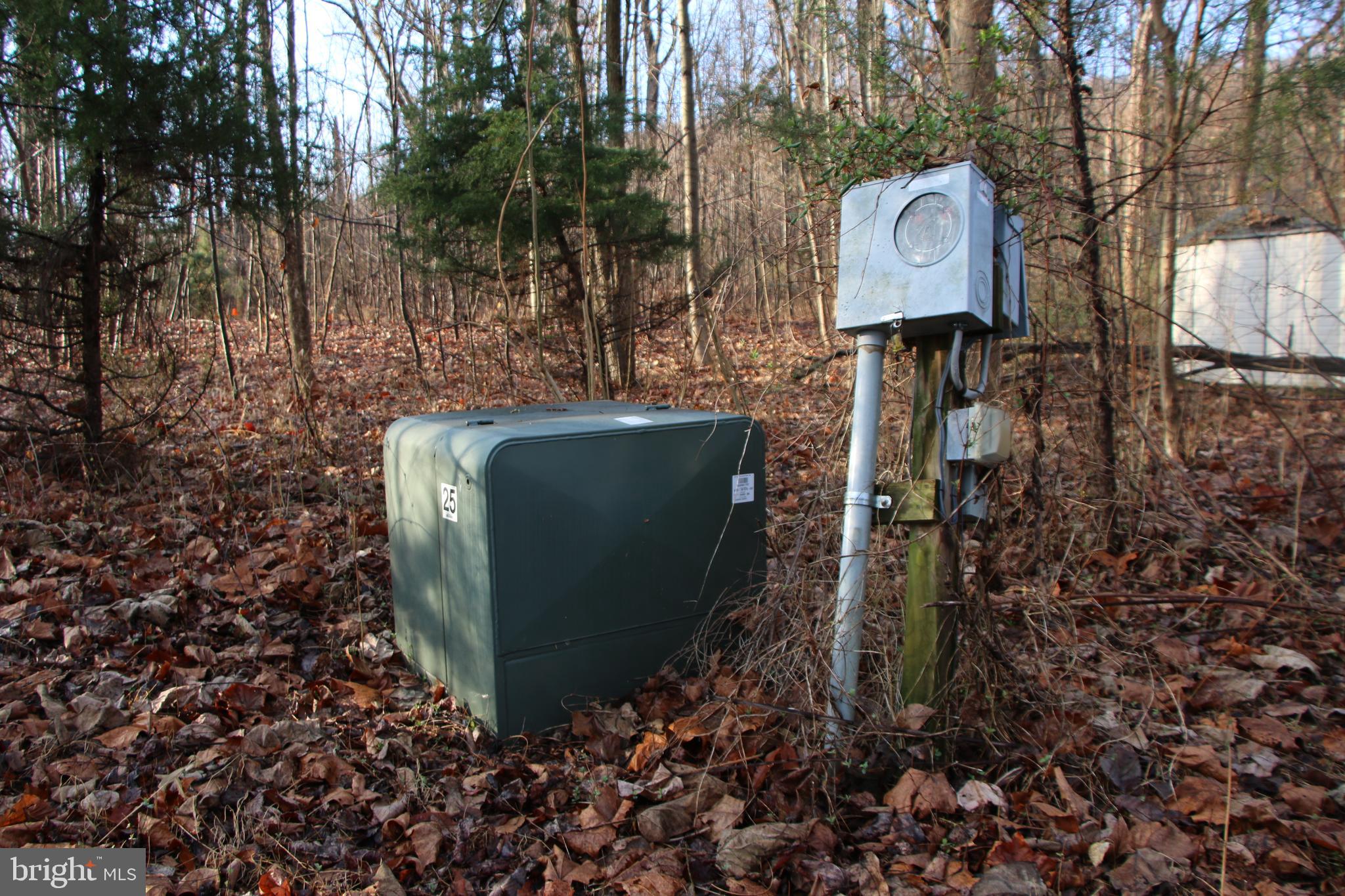 CHRISTOPHER WOODS - Land