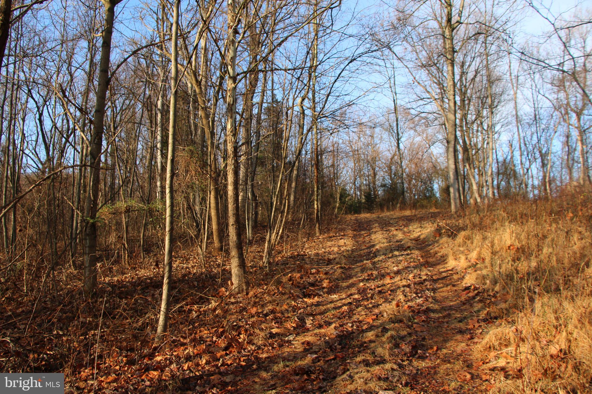 CHRISTOPHER WOODS - Land