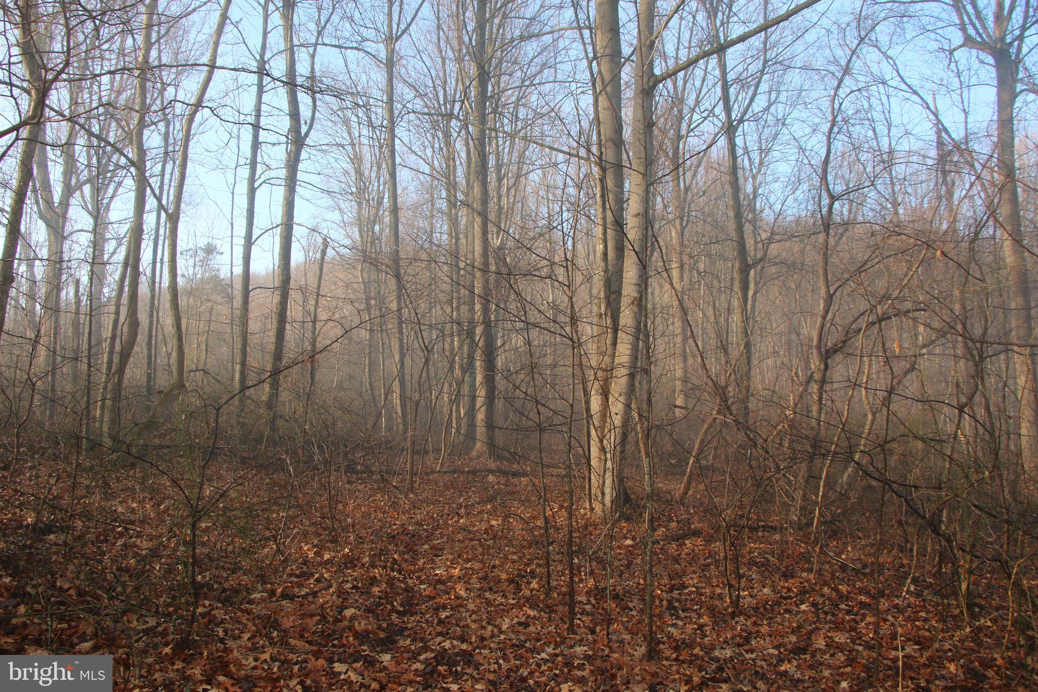 CHRISTOPHER WOODS - Land