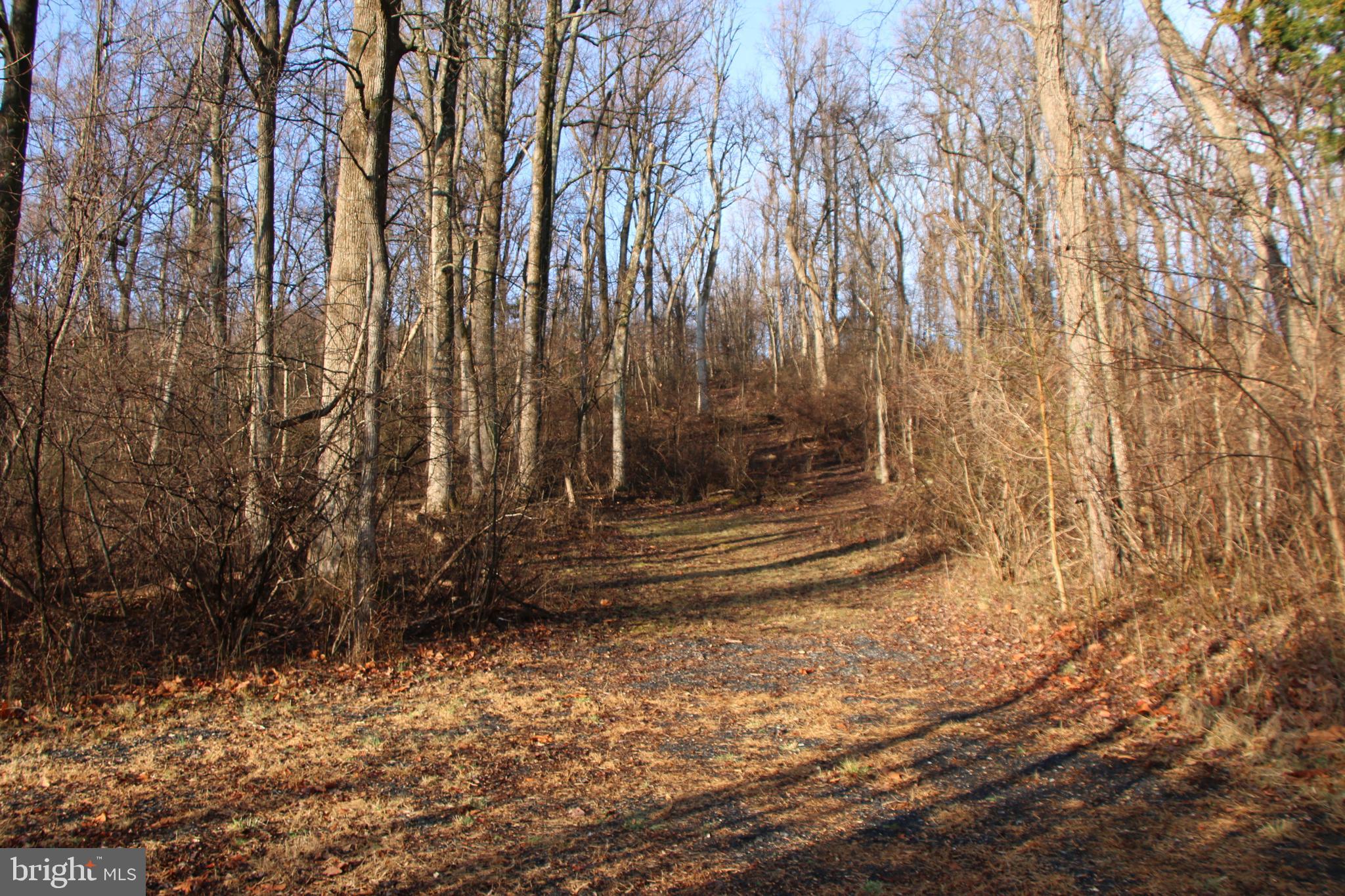 CHRISTOPHER WOODS - Land