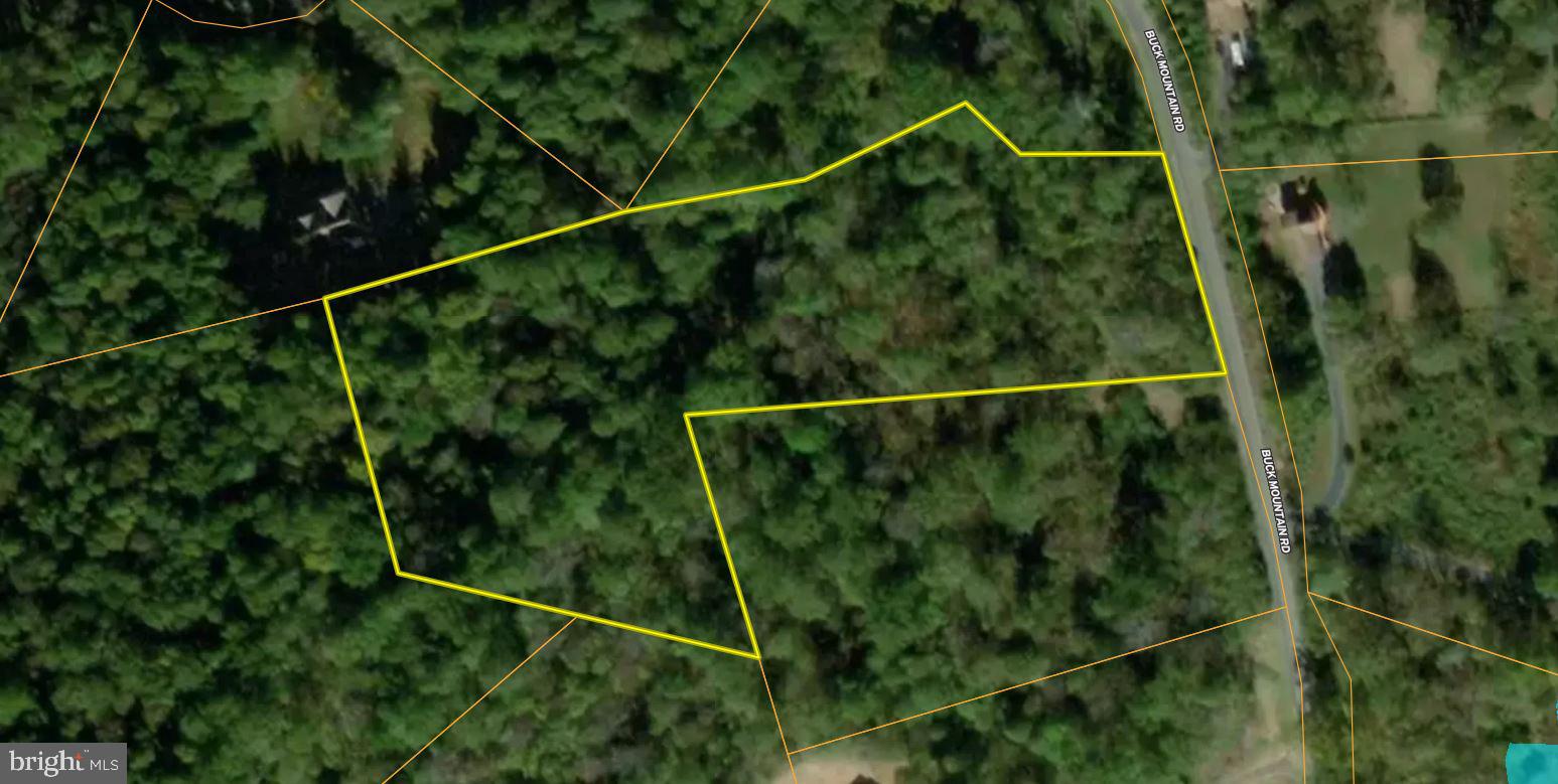 CHRISTOPHER WOODS - Land