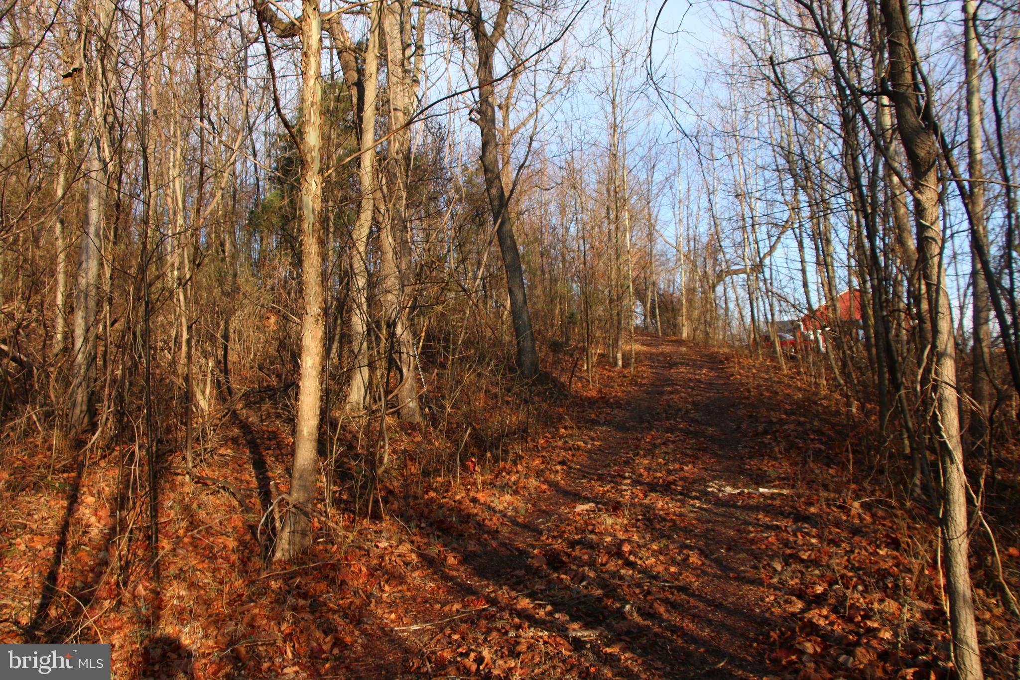 CHRISTOPHER WOODS - Land