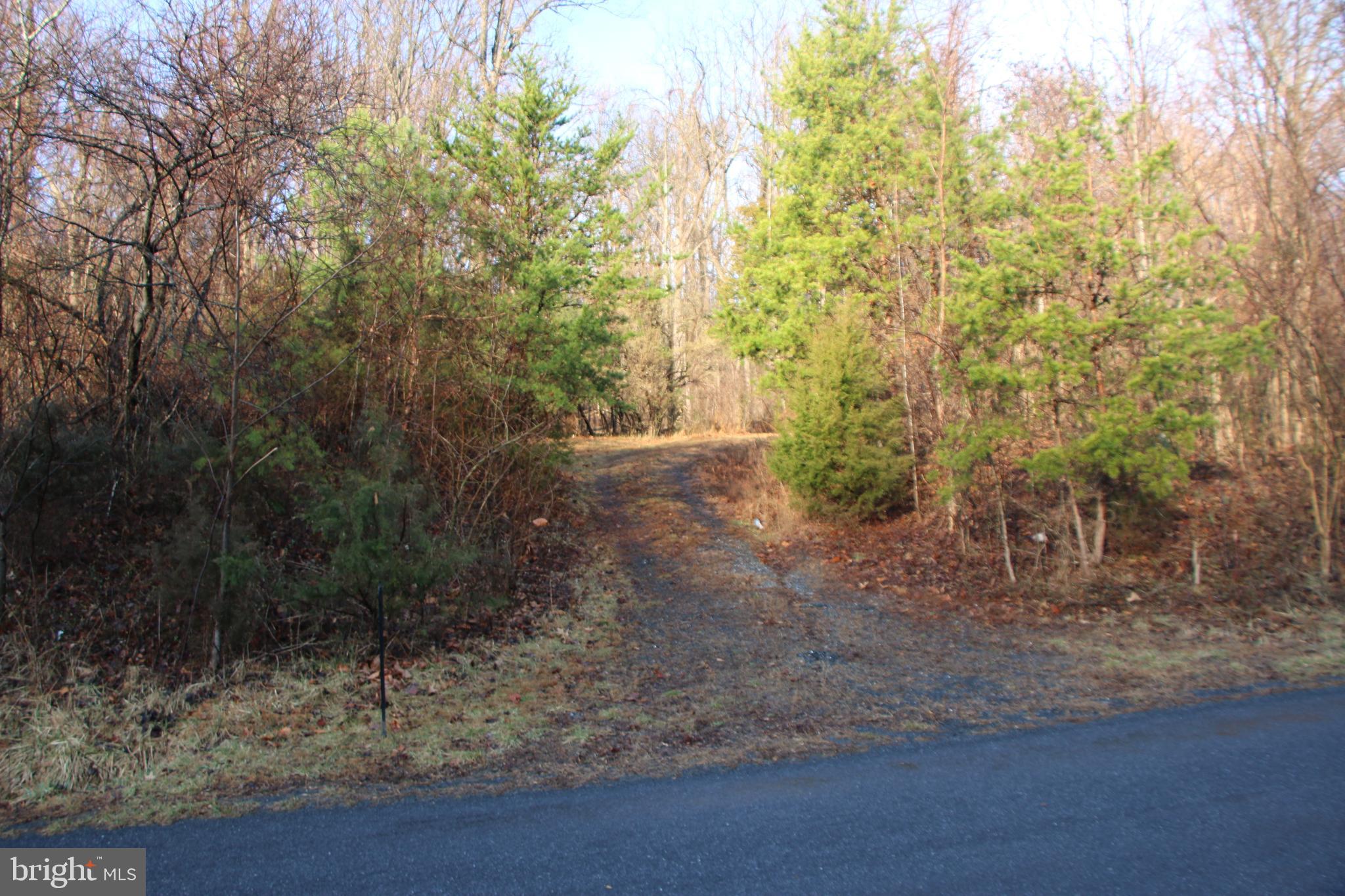 CHRISTOPHER WOODS - Land