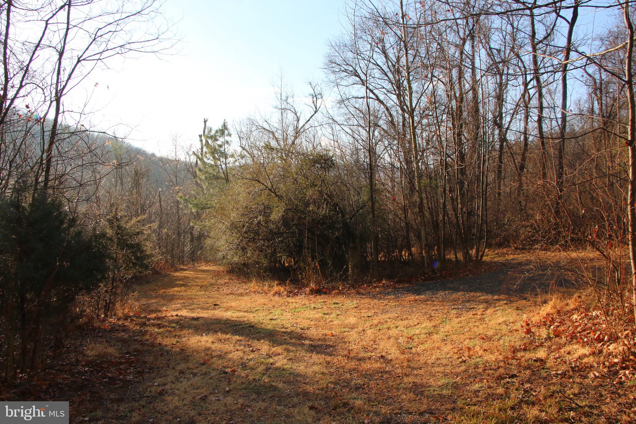 CHRISTOPHER WOODS - Land