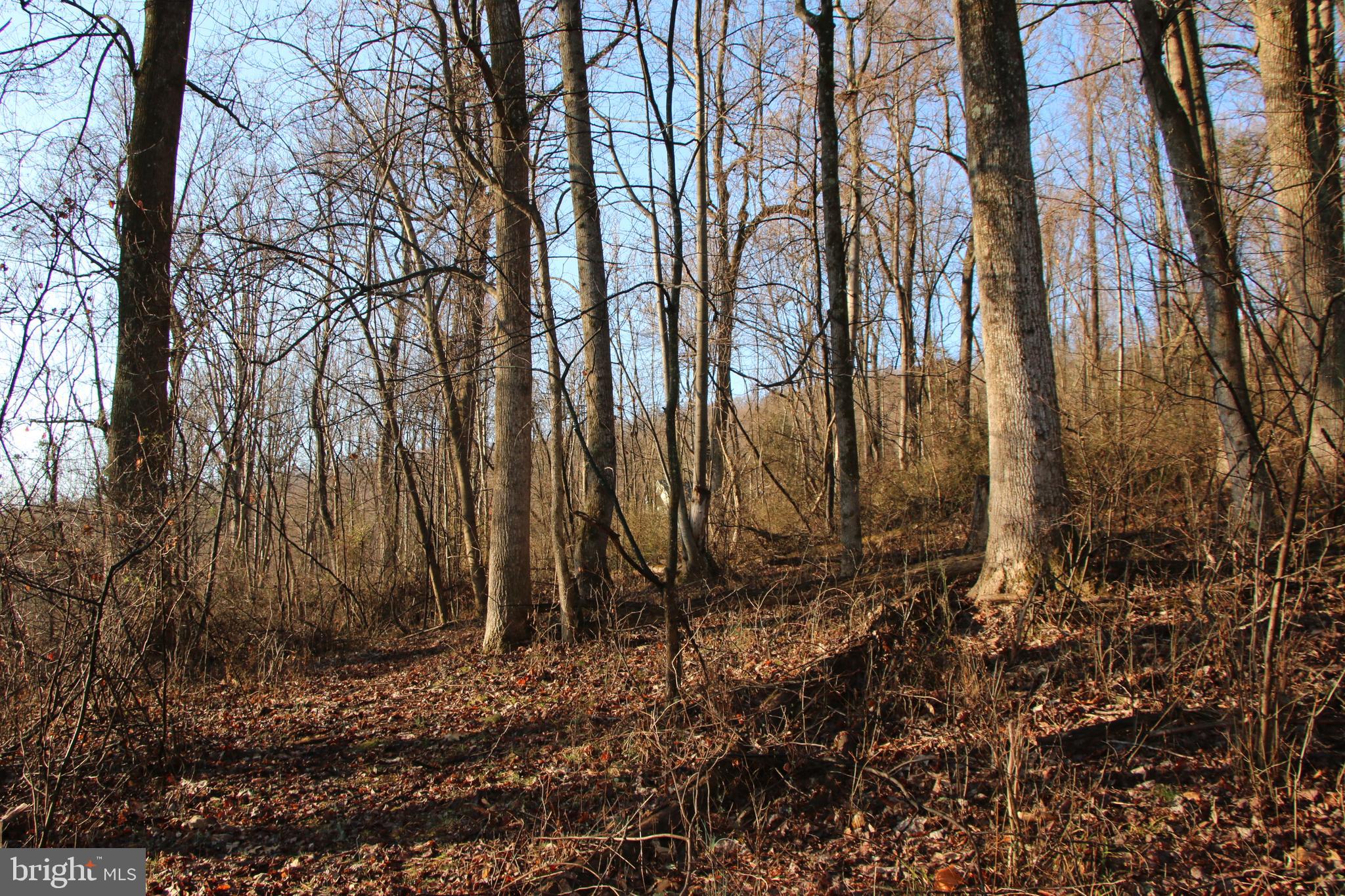 CHRISTOPHER WOODS - Land