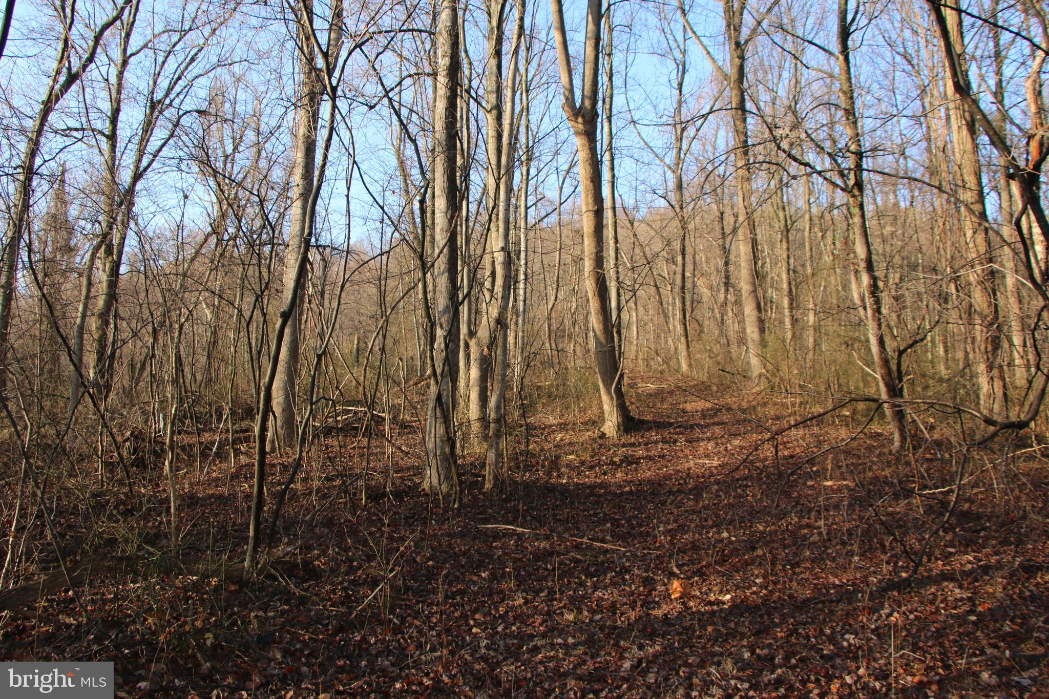 CHRISTOPHER WOODS - Land