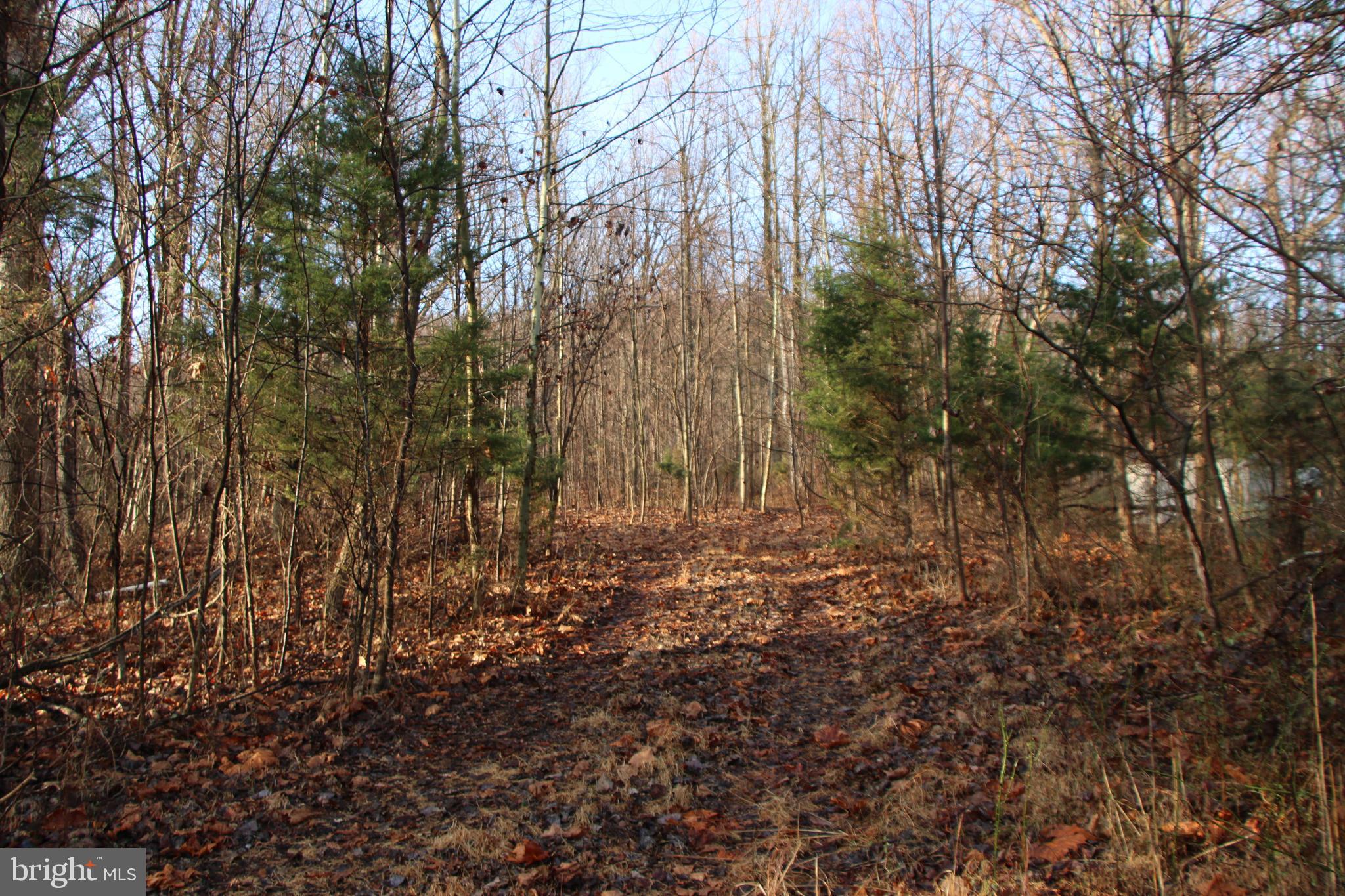 CHRISTOPHER WOODS - Land