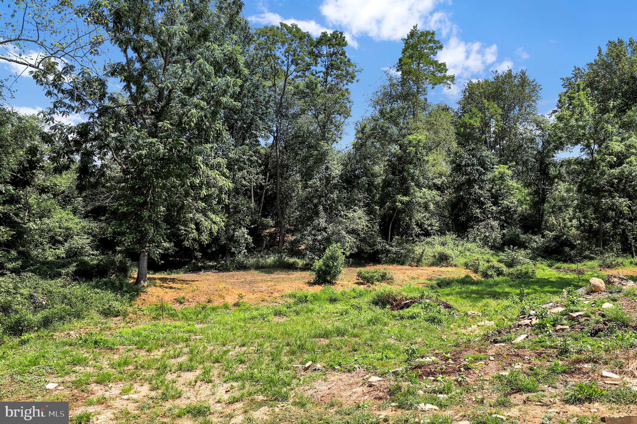 THE PRESERVE AT LONG BRANCH - Residential