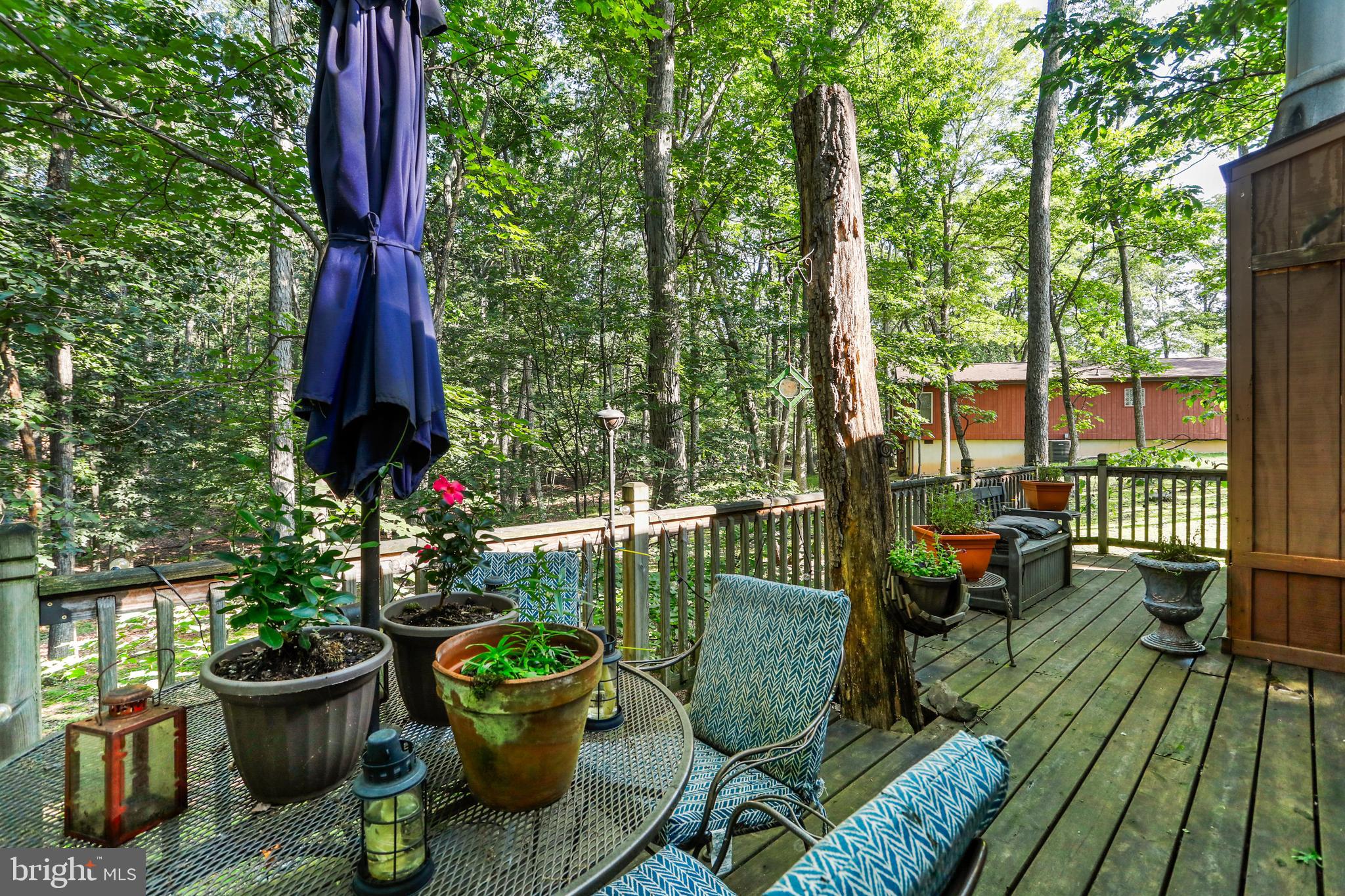 THE WOODS - Residential