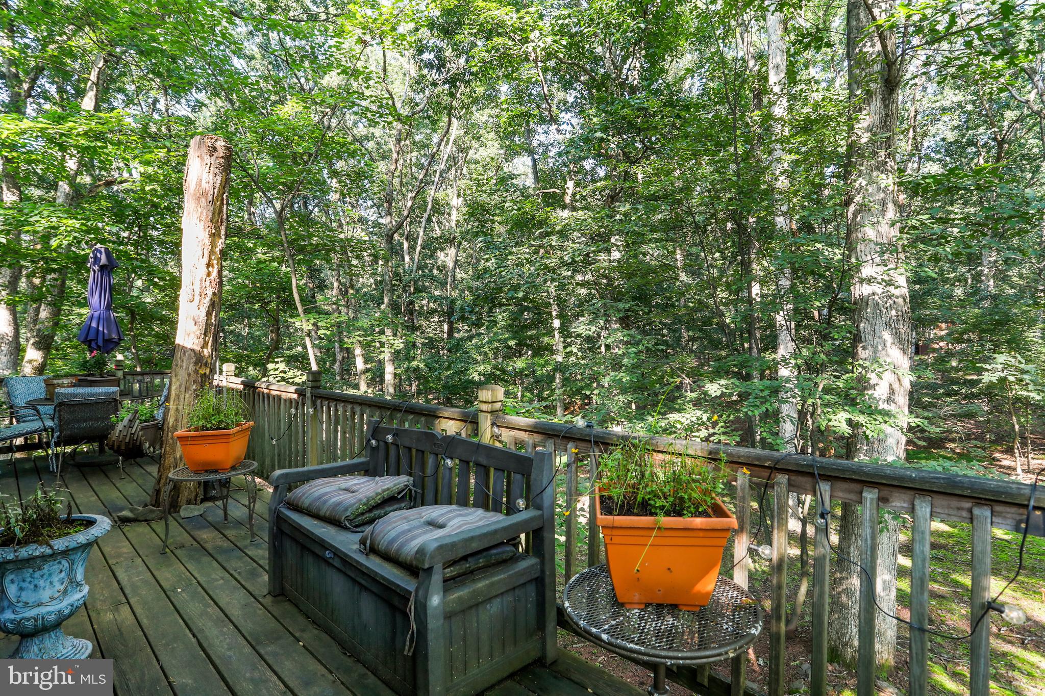 THE WOODS - Residential