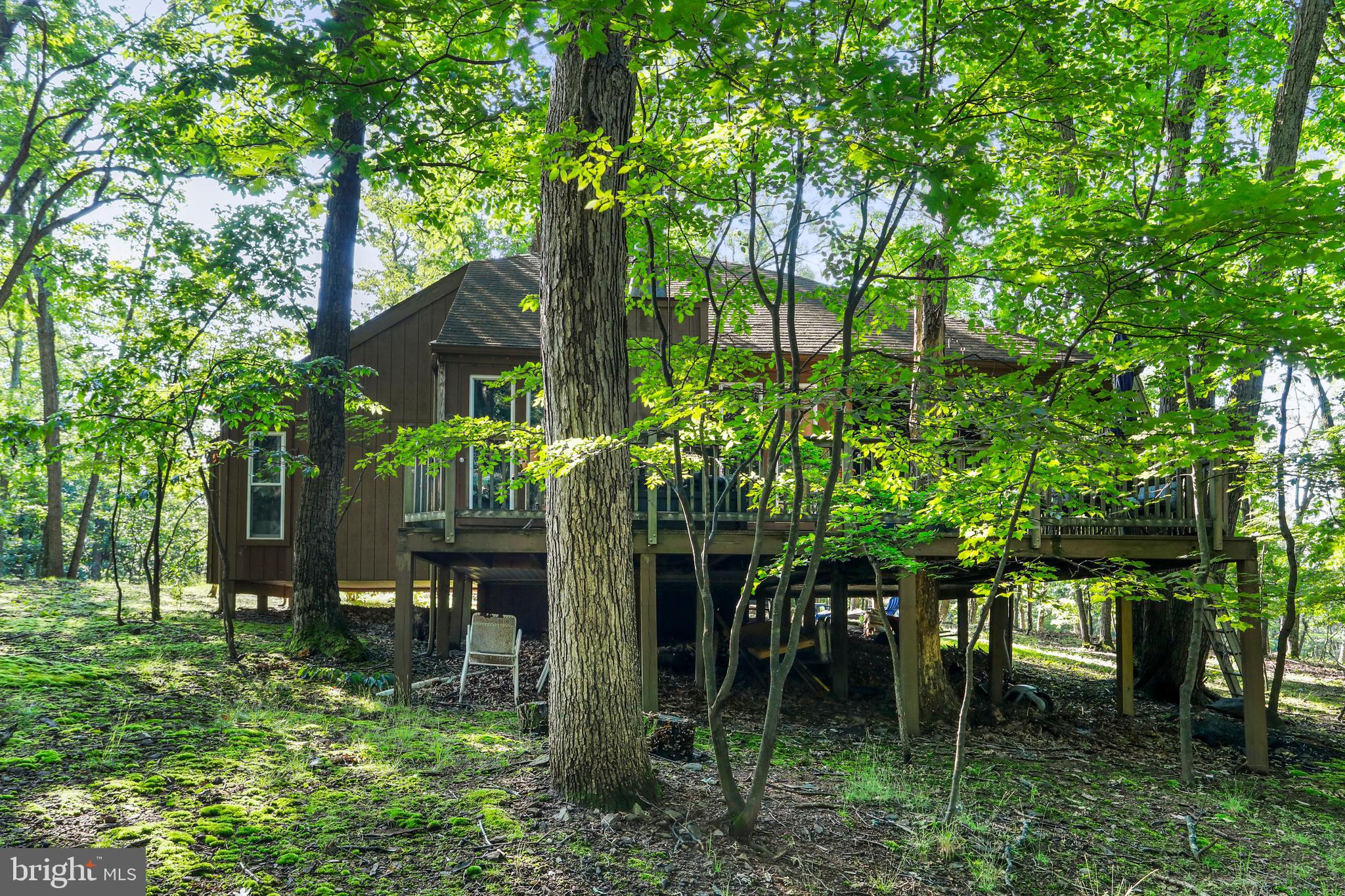 THE WOODS - Residential