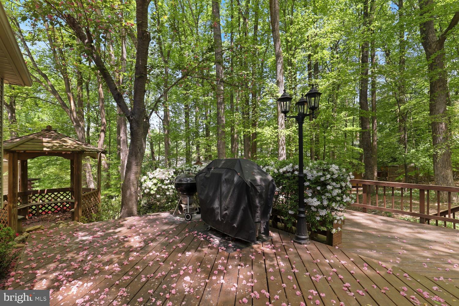 LAKE RIDGE - Residential