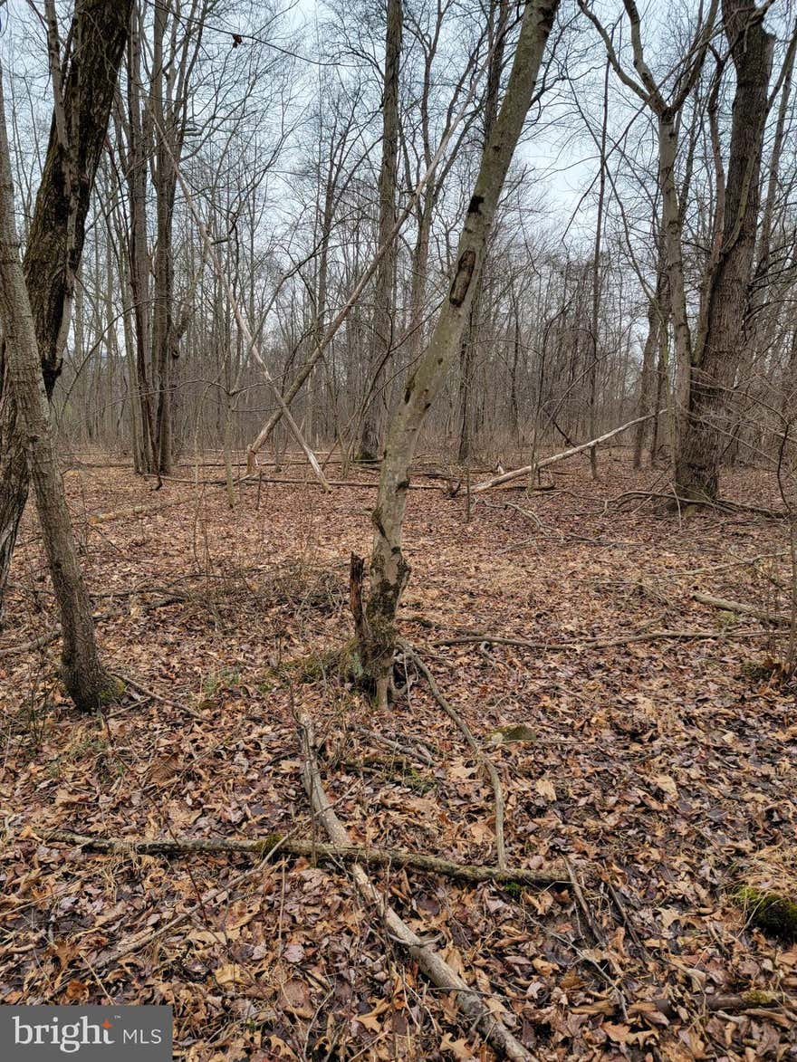 Don't Miss this extremely rare opportunity to own 19.45 acres of fully wooded vacant land with over 1800 feet of frontage along Clarks Creek trout stream in Middle Paxton Township. Property features many mature hickory and white oak trees. Tucked out of the way, this quiet property offers the ultimate privacy and yet is minutes to major highways. Currently property is us used for outdoor recreation including trout fishing, hunting and summer tubing.  Come walk the property and see for yourself what all it has to offer. Listing agent has financial interest in the property.