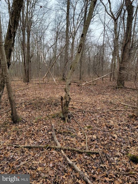 Vacant Land For Sale - LOT 11 Tannin Way<br/> DAUPHIN, PA 17018