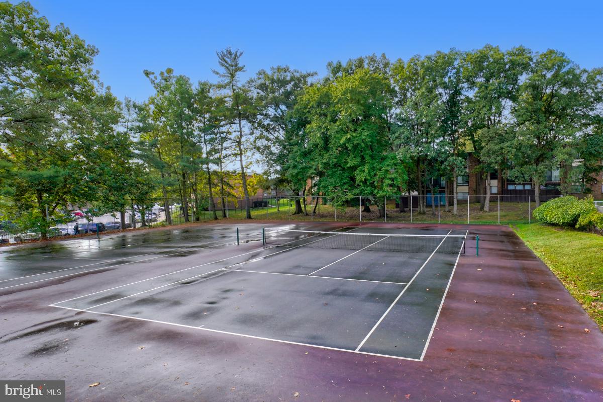 CHELSEA WOODS - Residential