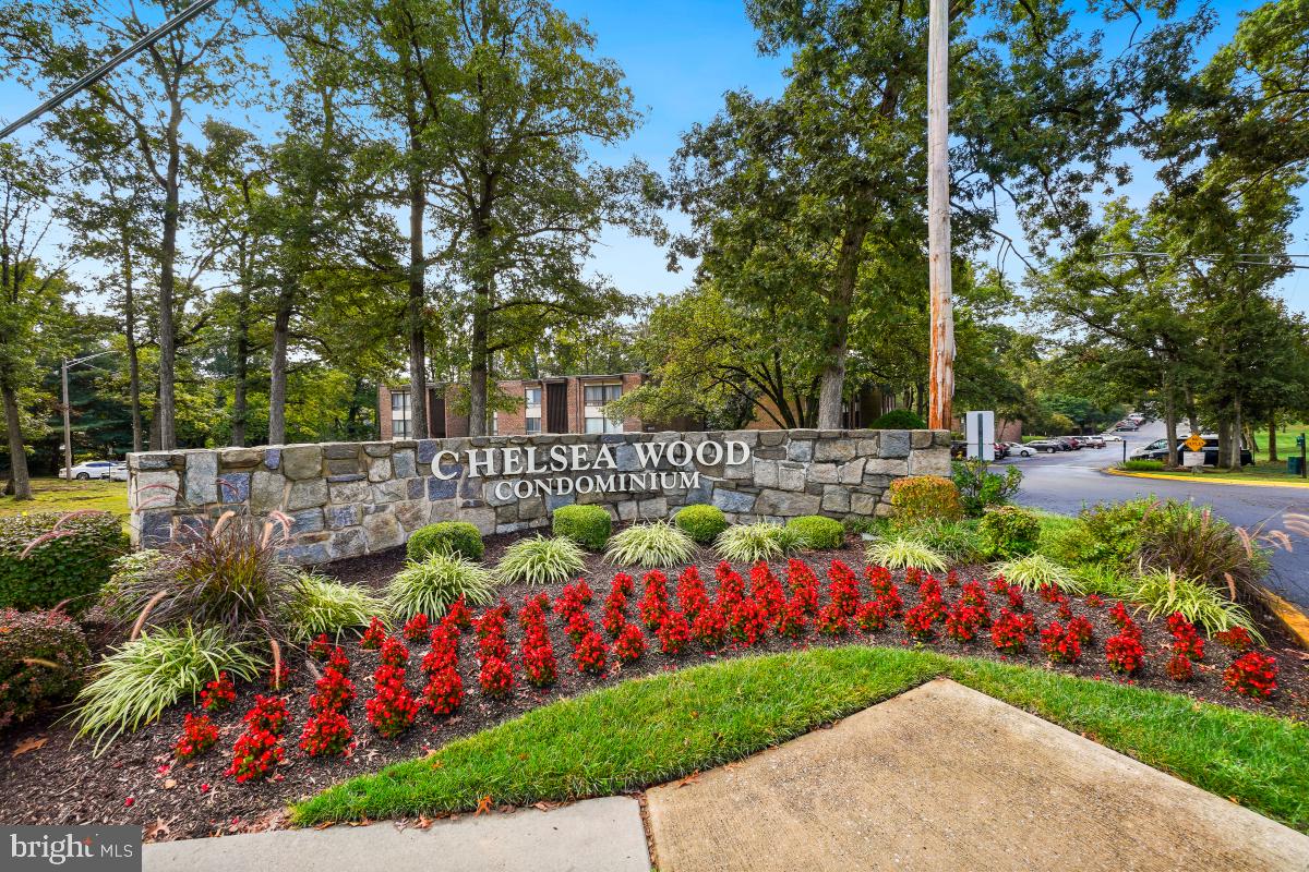 CHELSEA WOODS - Residential