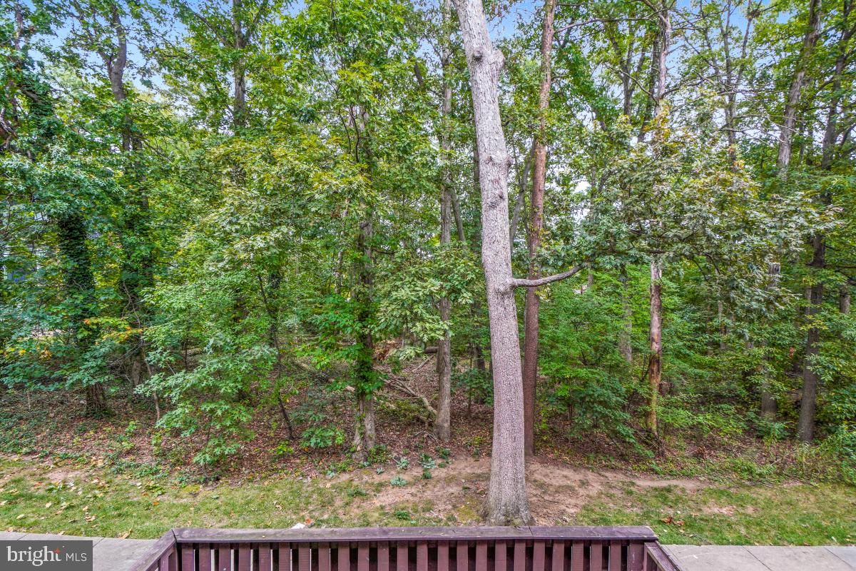 CHELSEA WOODS - Residential