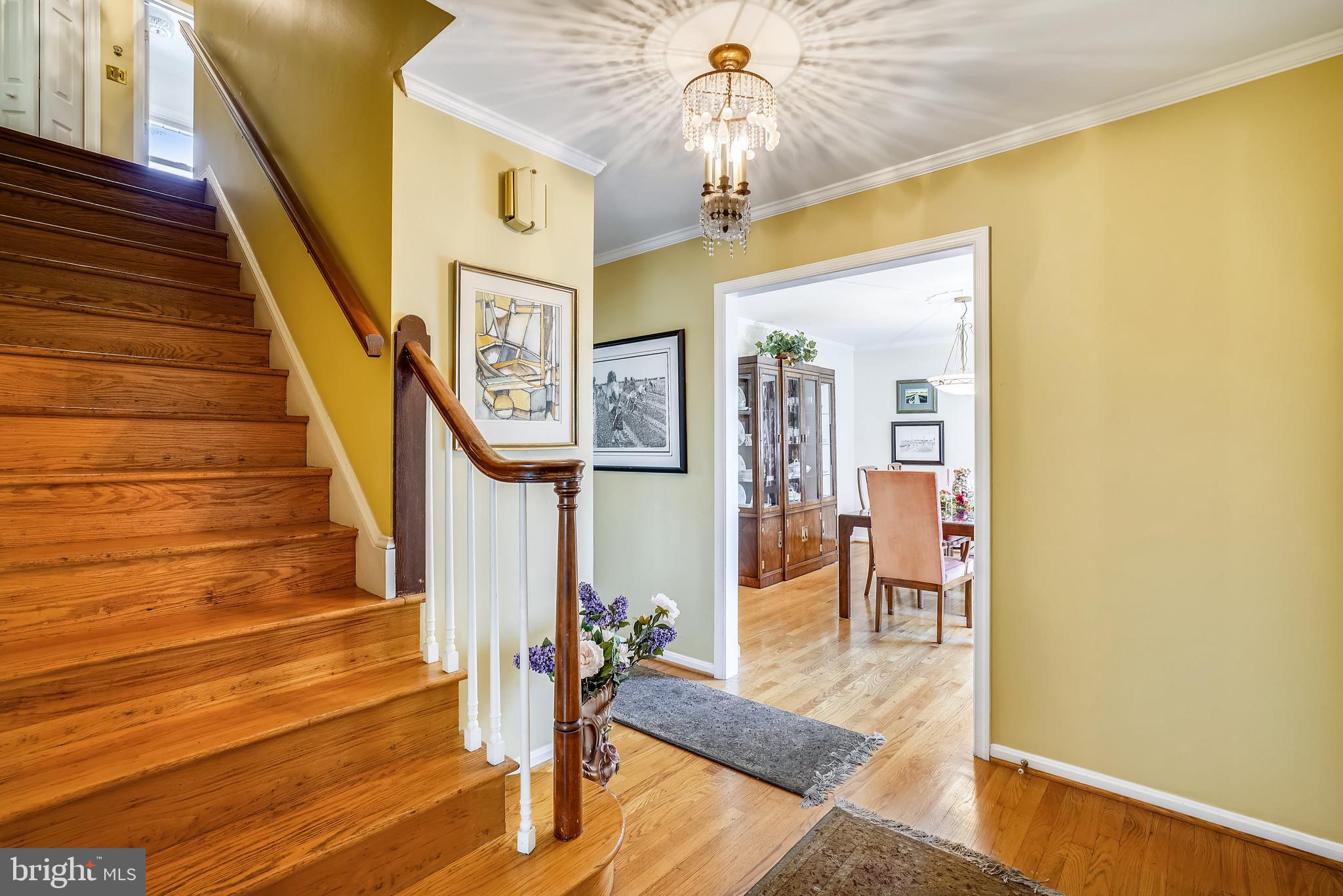 WHITEMARSH COVE - Residential