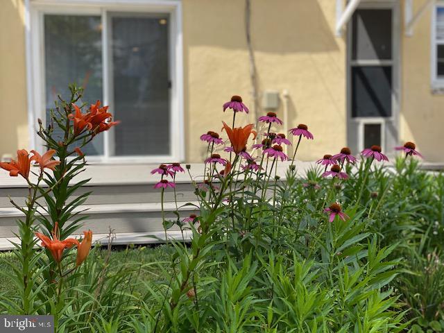 LAKE EVESHAM - Residential