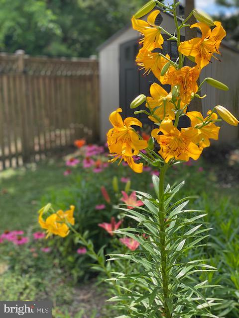 LAKE EVESHAM - Residential