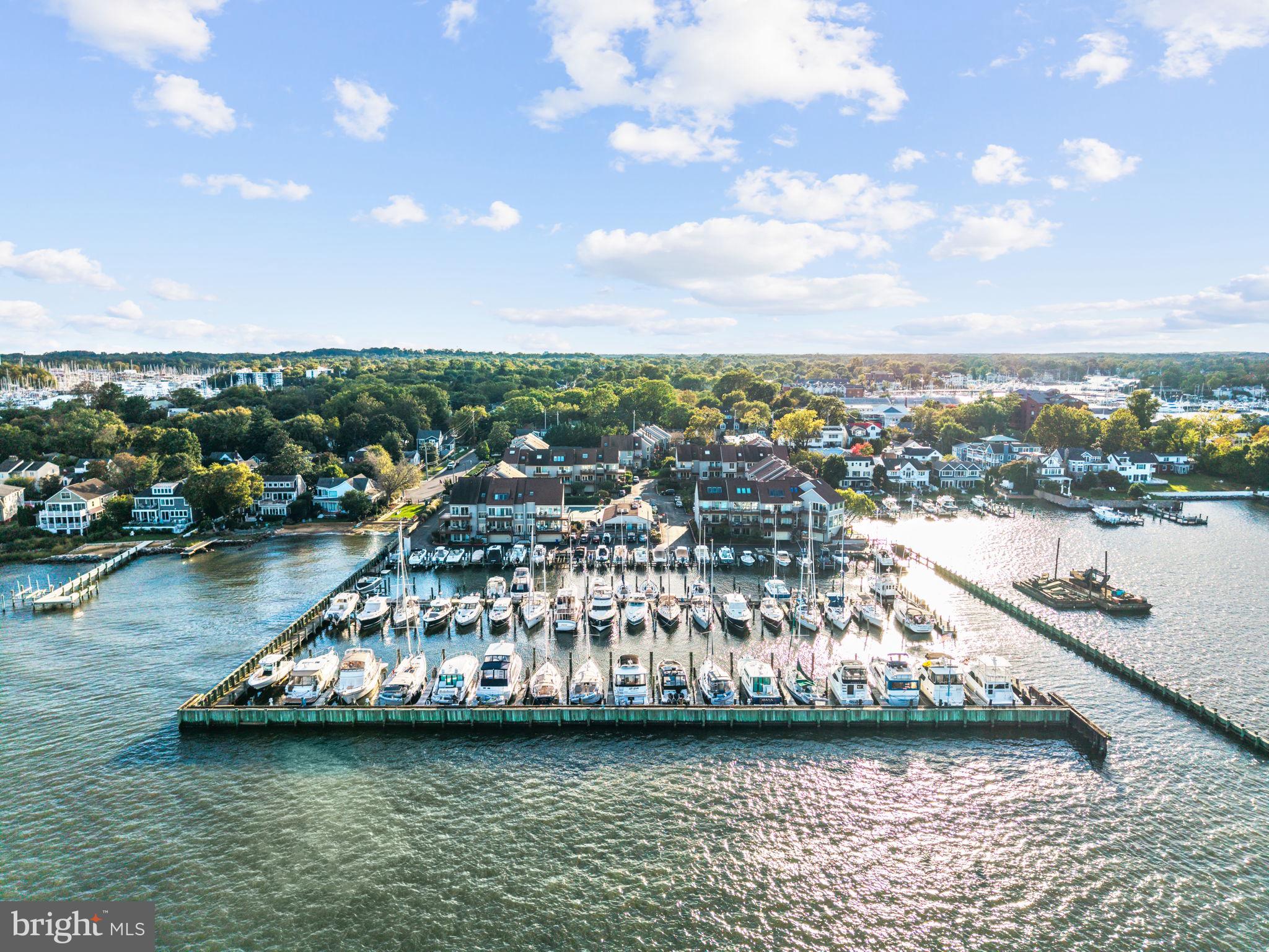 CHESAPEAKE LANDING - Residential