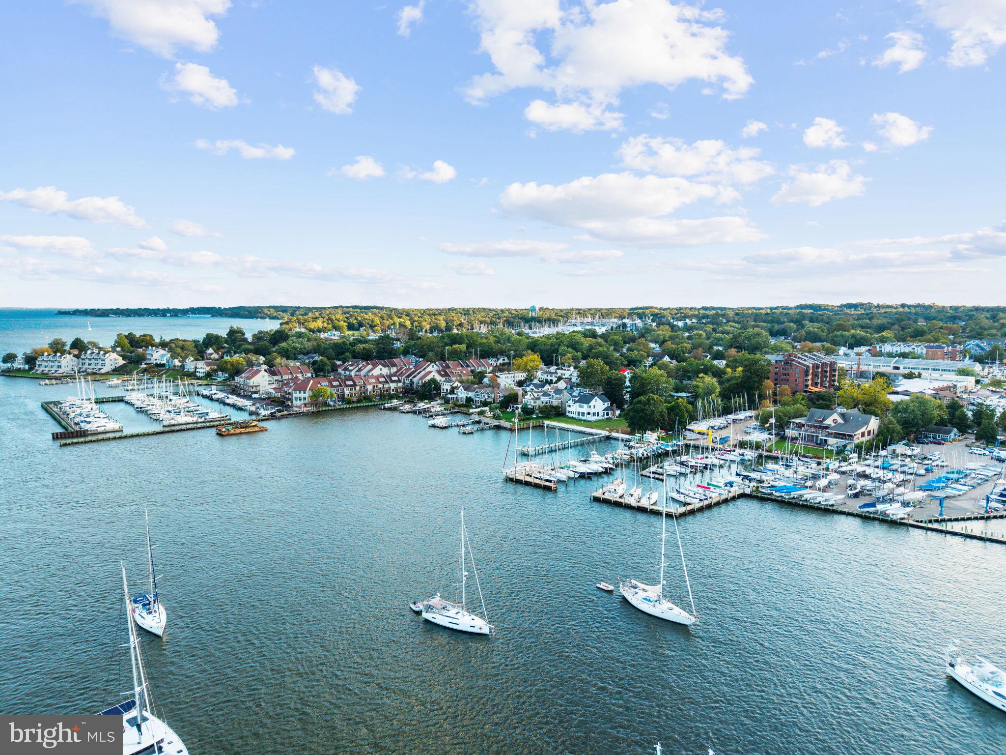 CHESAPEAKE LANDING - Residential