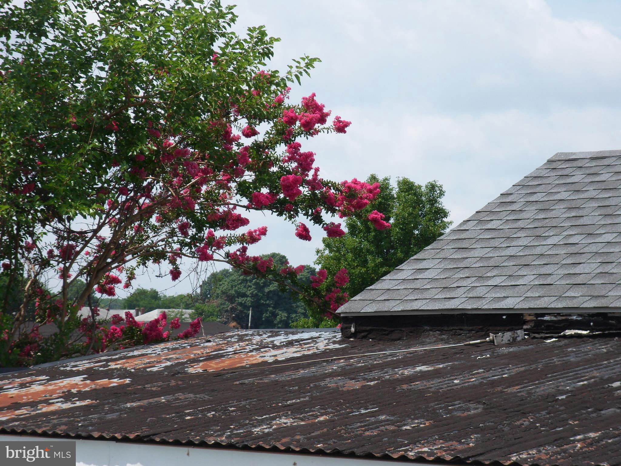 MURRAY POINT - Residential