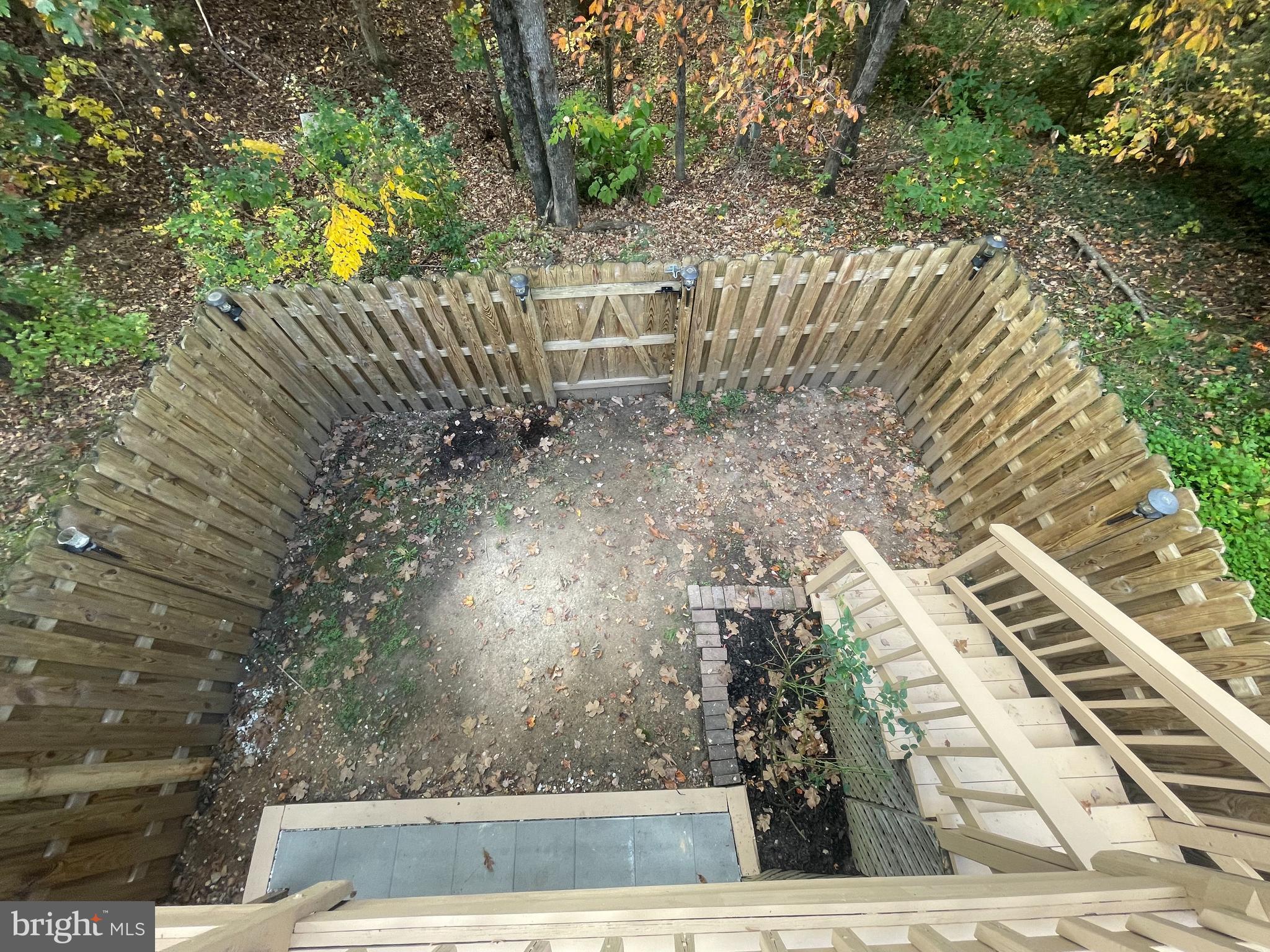 DOMINION FOREST - Residential Lease