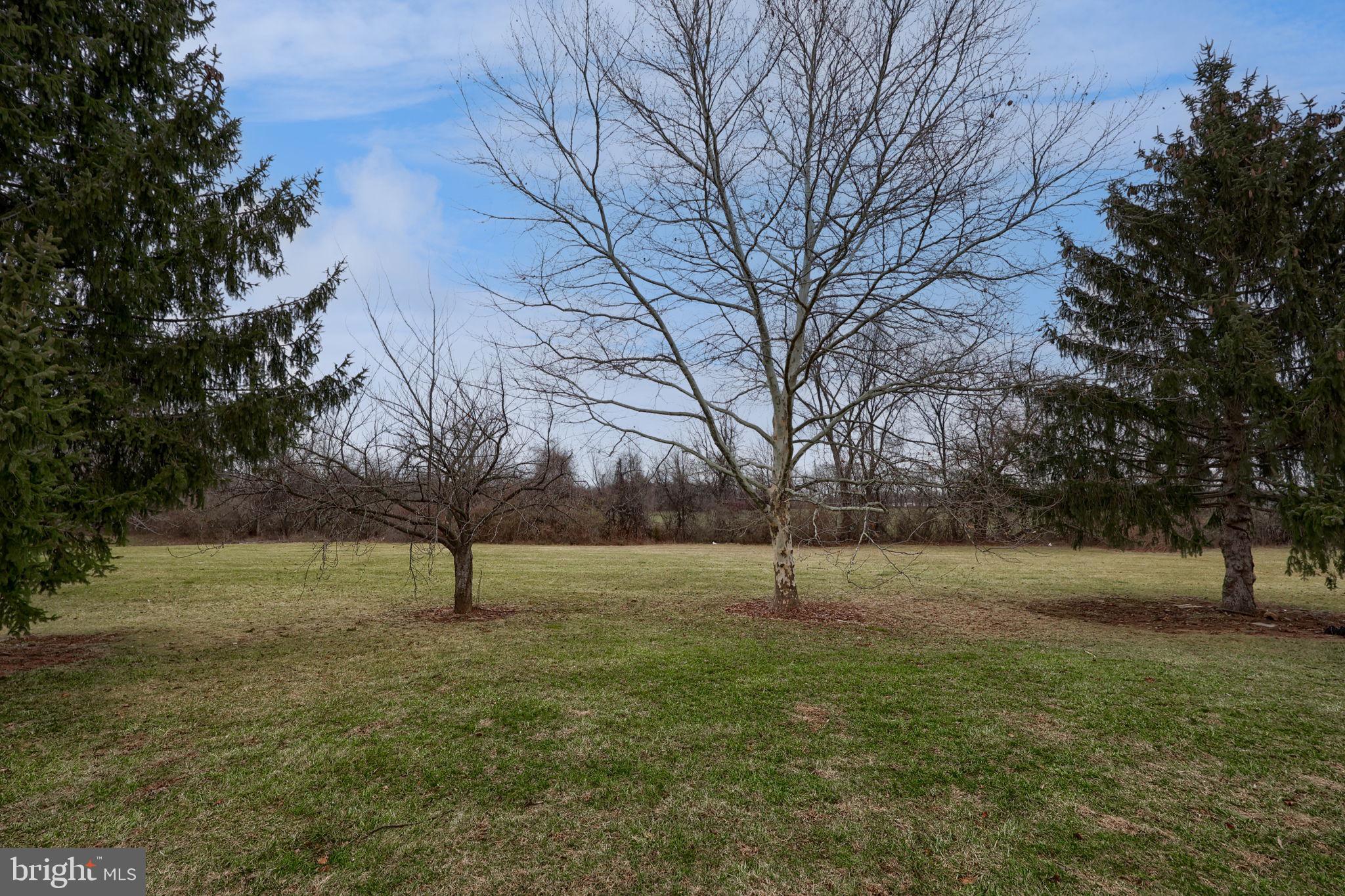 LEXINGTON WOODS - Residential