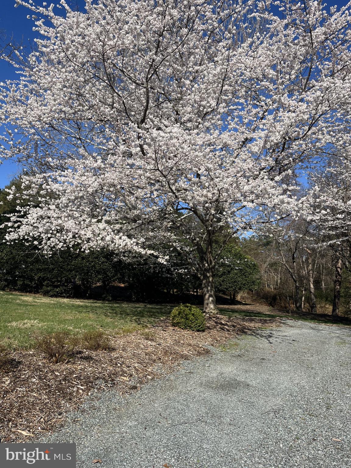 DARNESTOWN - Residential