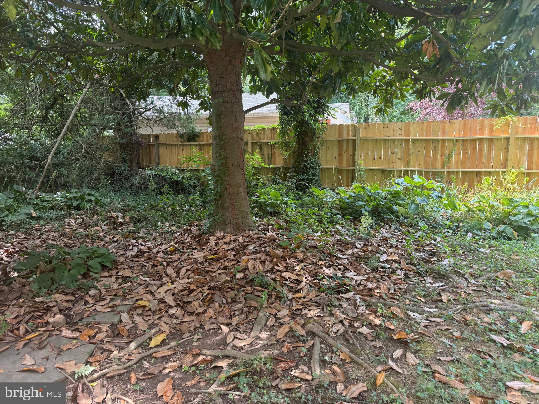 SILVER SPRING - Residential