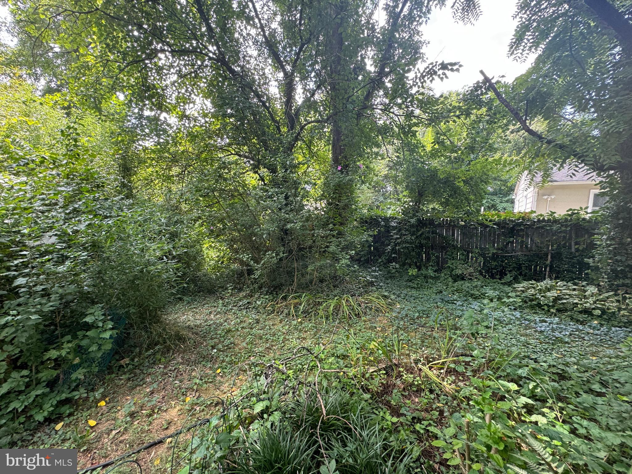 SILVER SPRING - Residential