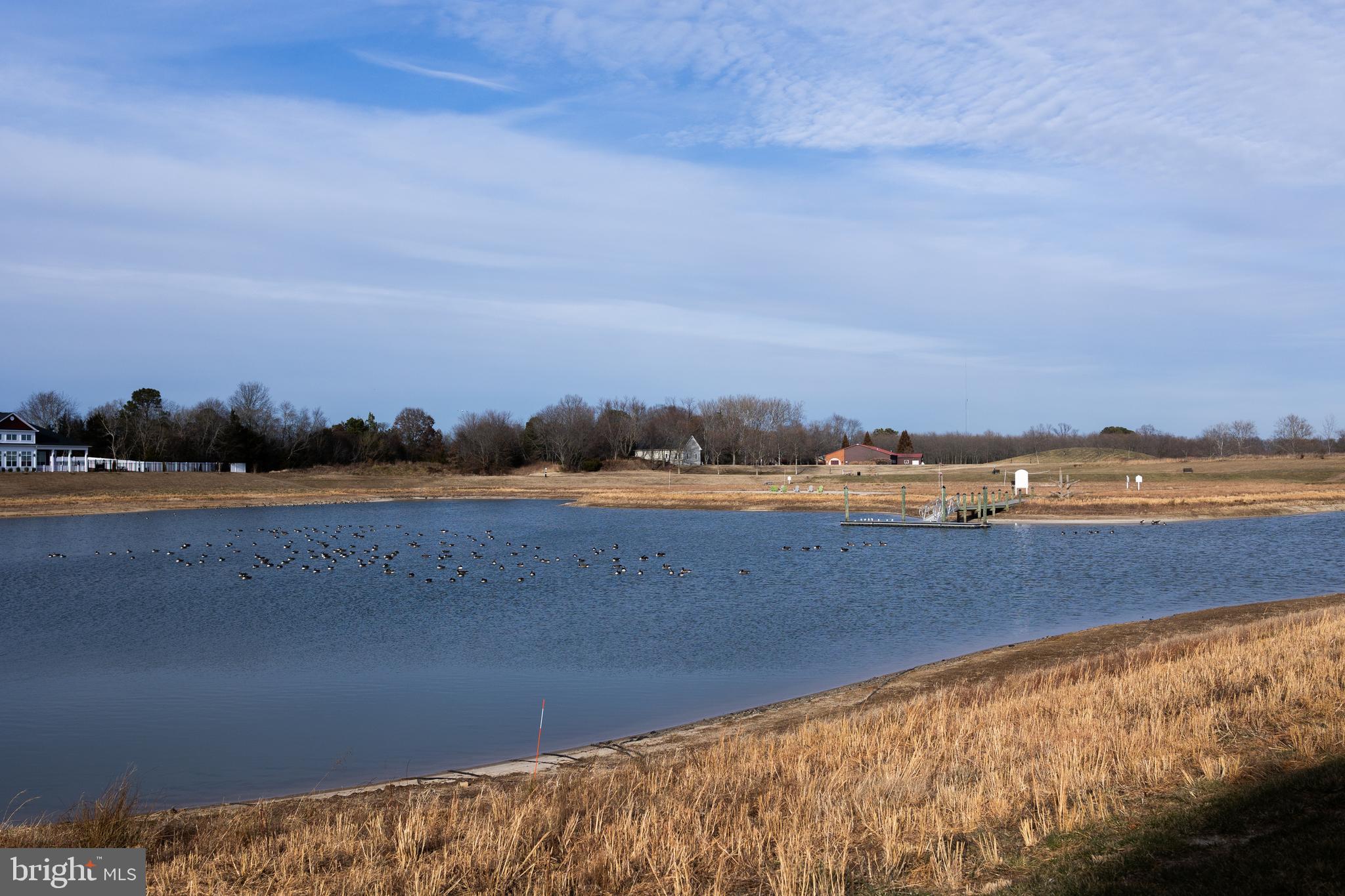 VINEYARDS AT NASSAU VALLEY - Residential