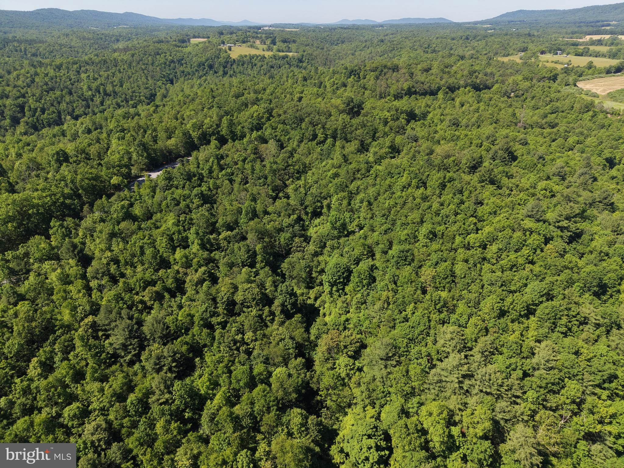 19.104+/- ACRES MCKEES GAP RD