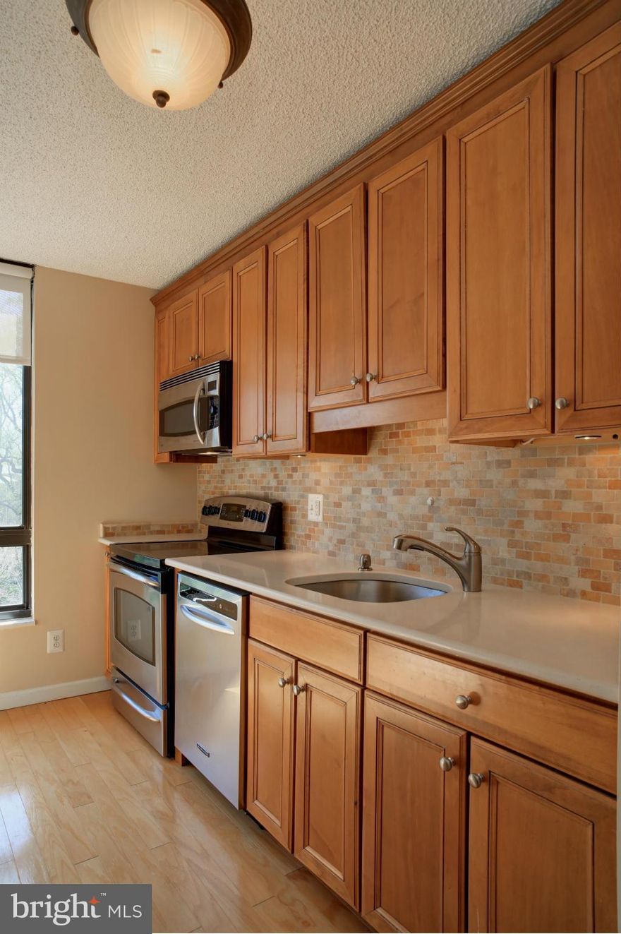 SIMPLY GORGEOUS!!  STUNINGLY AND TOTALLY RENOVATED CORNER 2BR, 2 BATH UNIT FACING SOUTH AND TREES! LIGHT, BRIGHT AND AIRY - EVEN THE KITCHEN HAS A WINDOW! CROWN MOLDINGS & LOTS OF DESIGNER TOUCHES. LOVELY BALCONY. WALK IN CLOSET  IN MBR. WALK TO  SILVER LINE METRO! ALL UTILITIES INCLUDED PLUS  ASSIGNED GARAGE SPACE.  OWNER IS LICENSED RE BROKER.