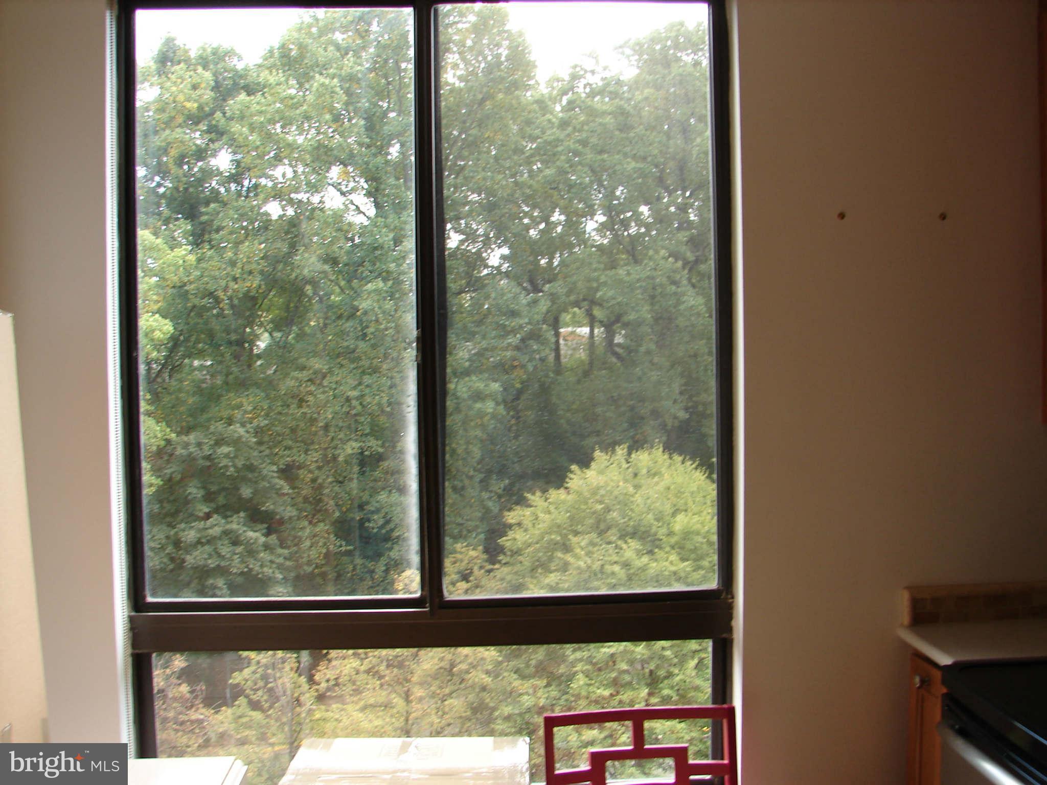 REGENCY AT MCLEAN - Residential