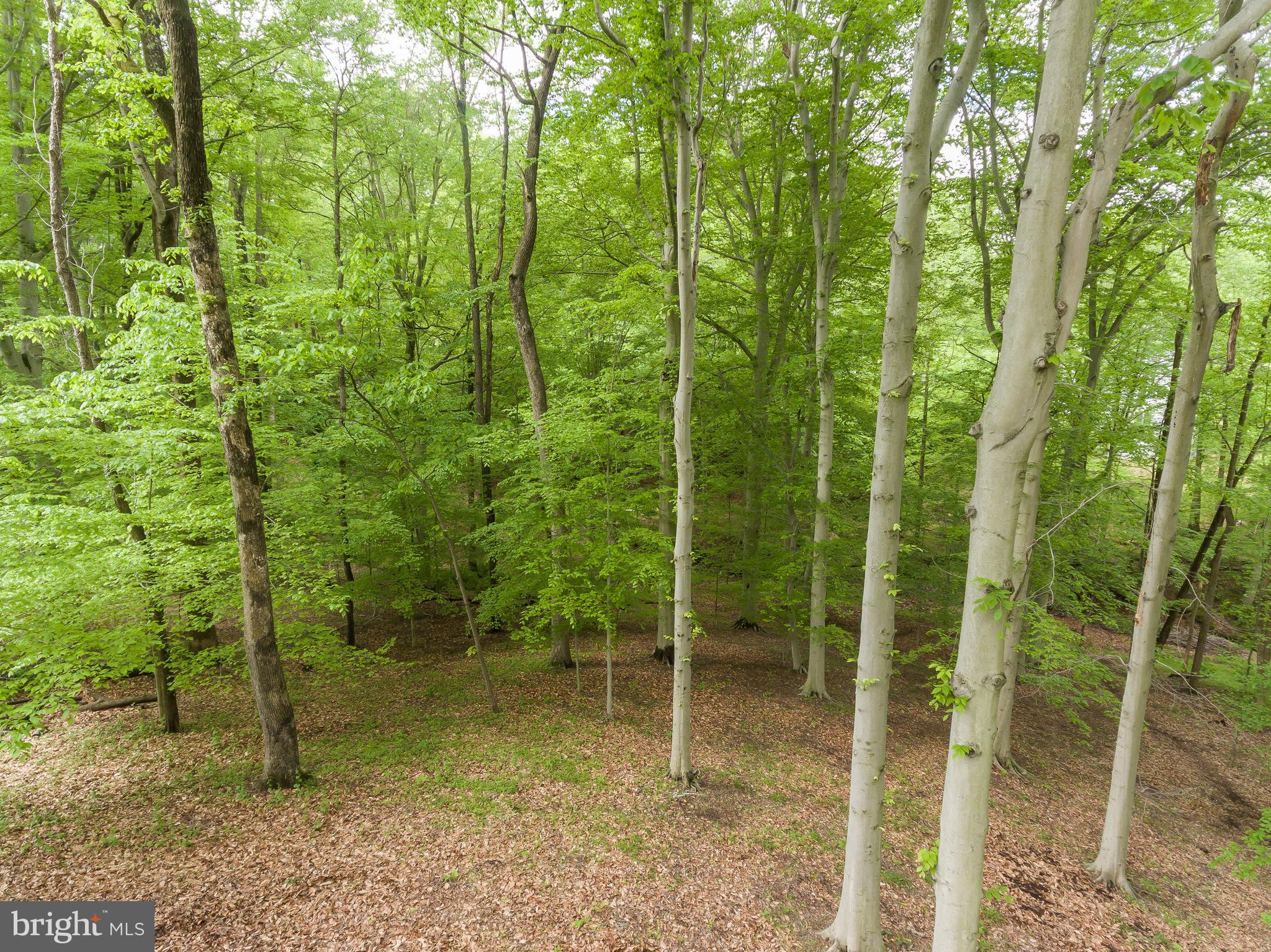 PATAPSCO PARK ESTATES - Residential