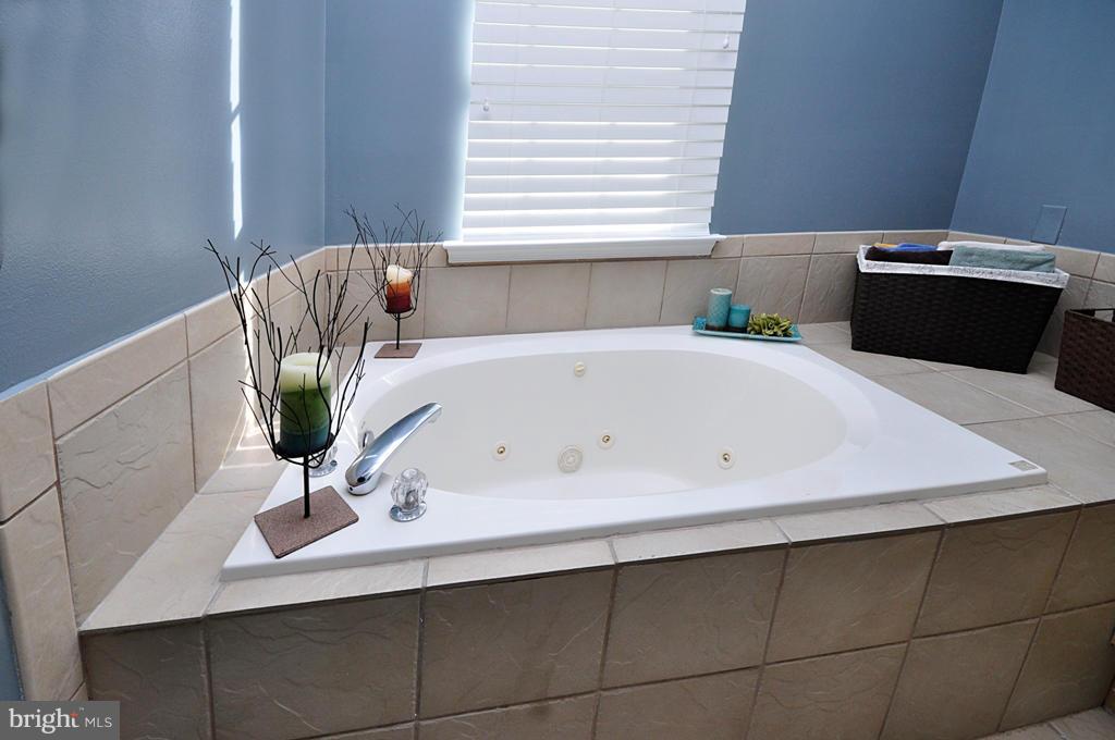 COURTS AT STAFFORD - Residential