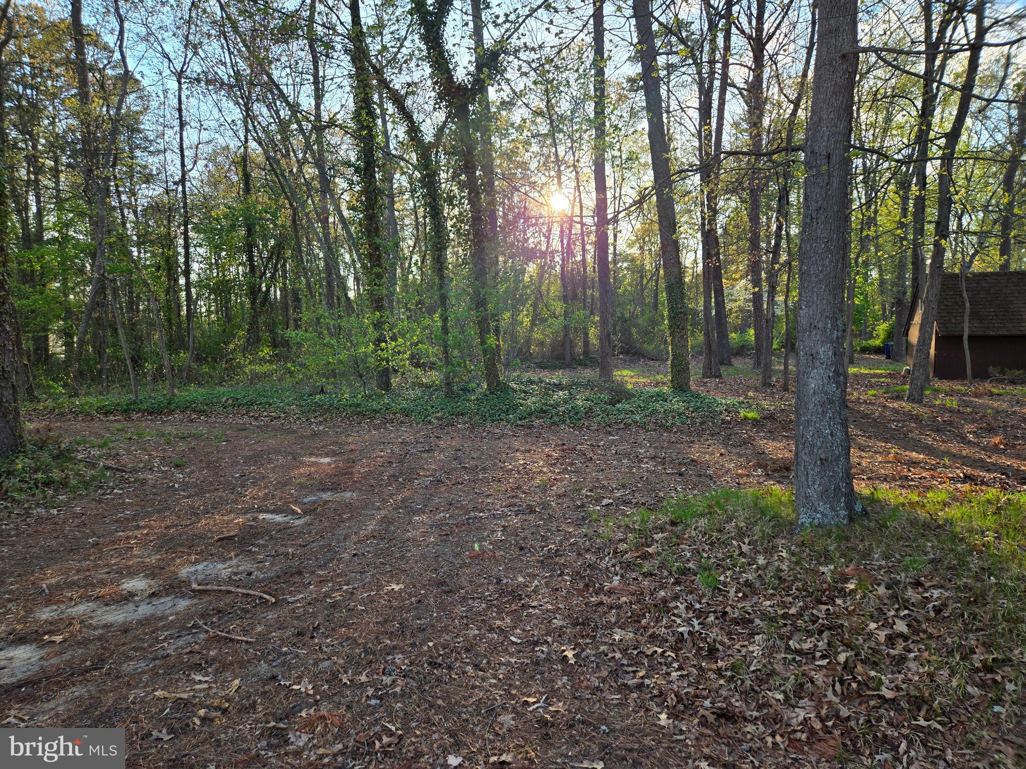 565 HOLLY DRIVE