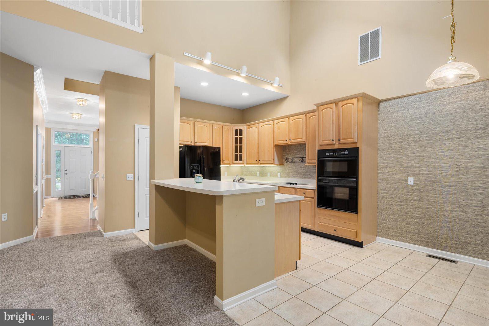 OCEAN PINES - THE PARKE - Residential